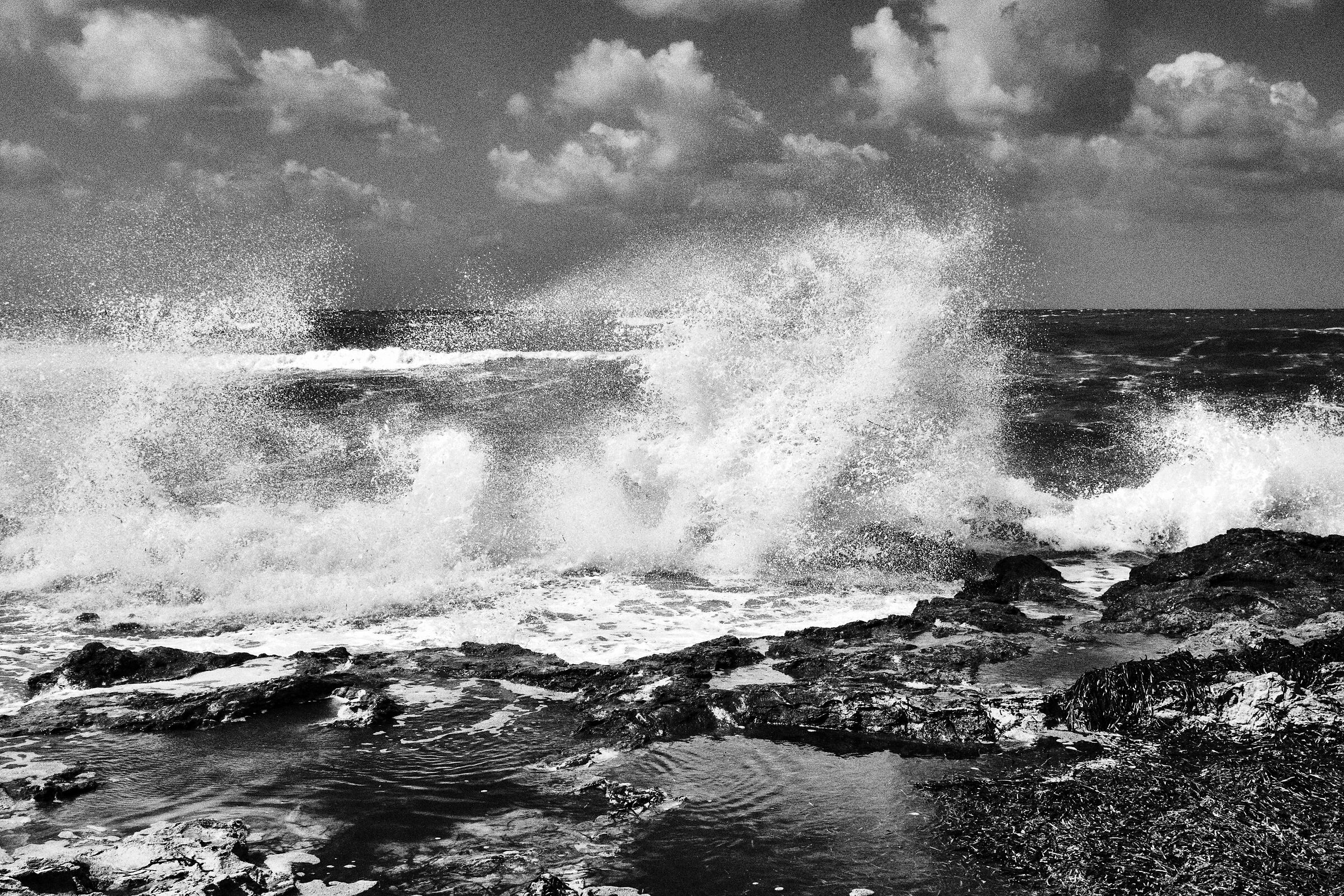 Ponente sugli scogli