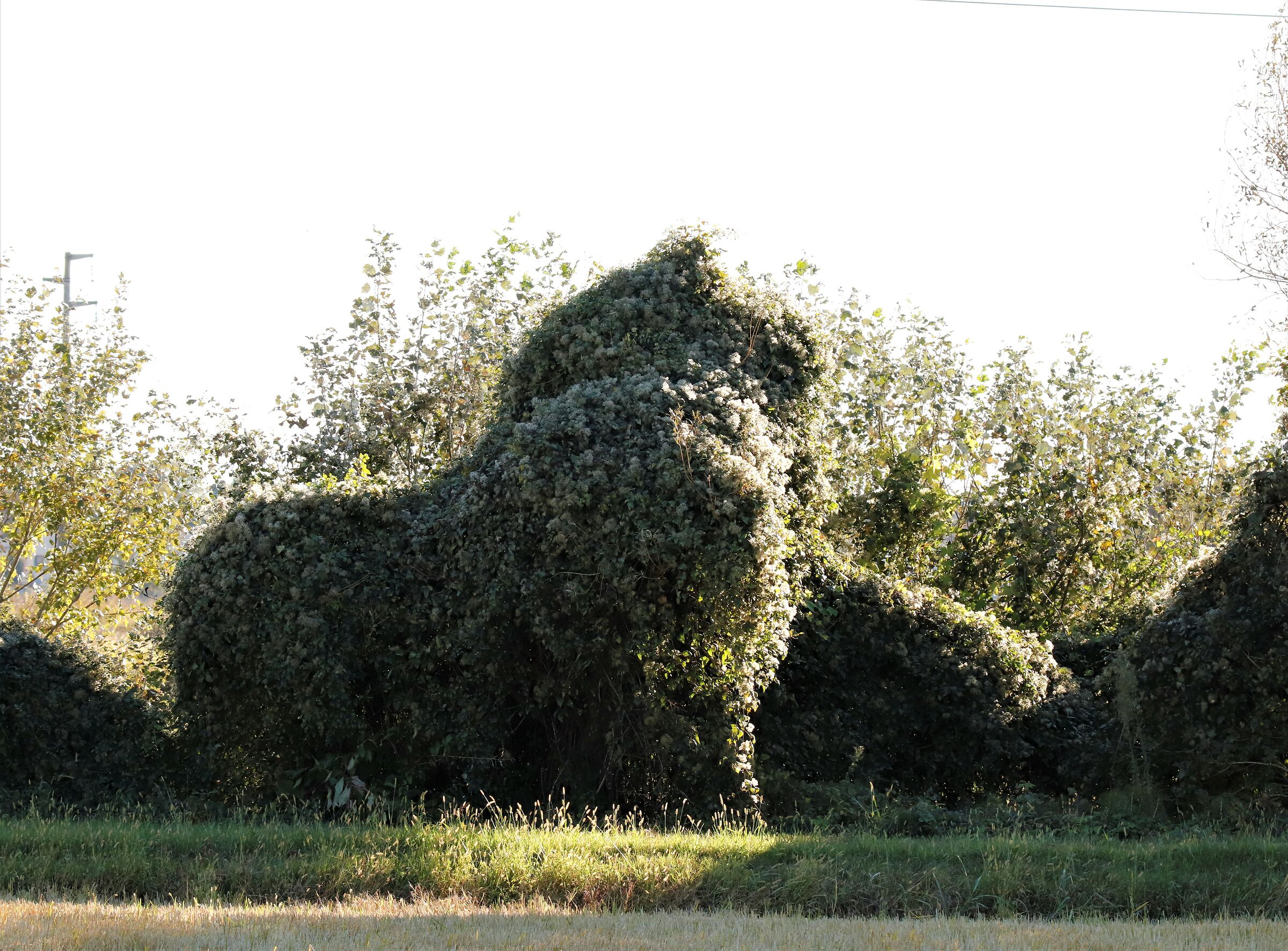 a guardia della Natura!!!