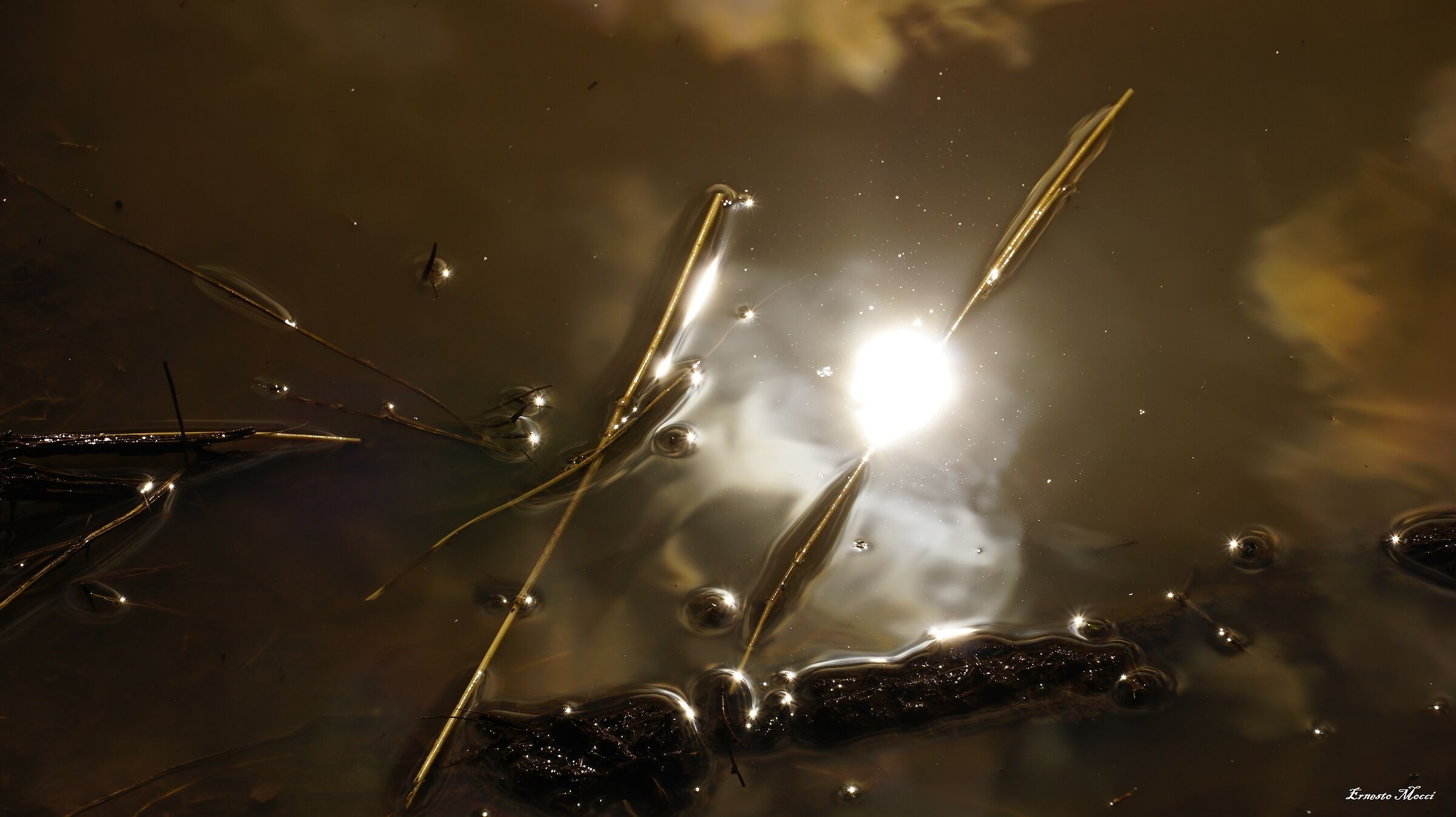 At the School of Merlin .....