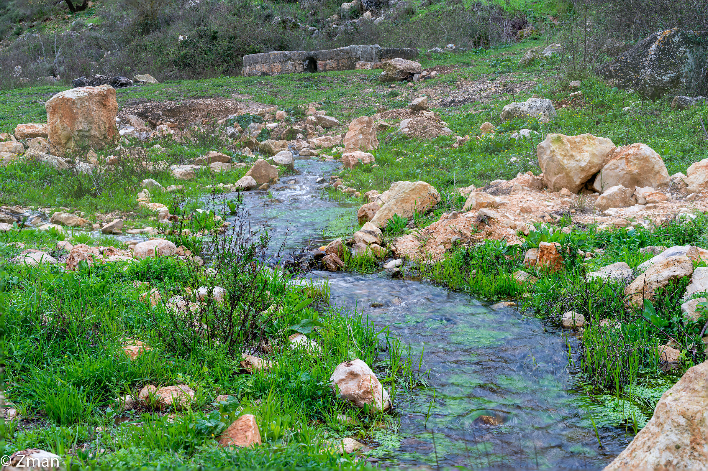 Tutto intorno al nostro posto
