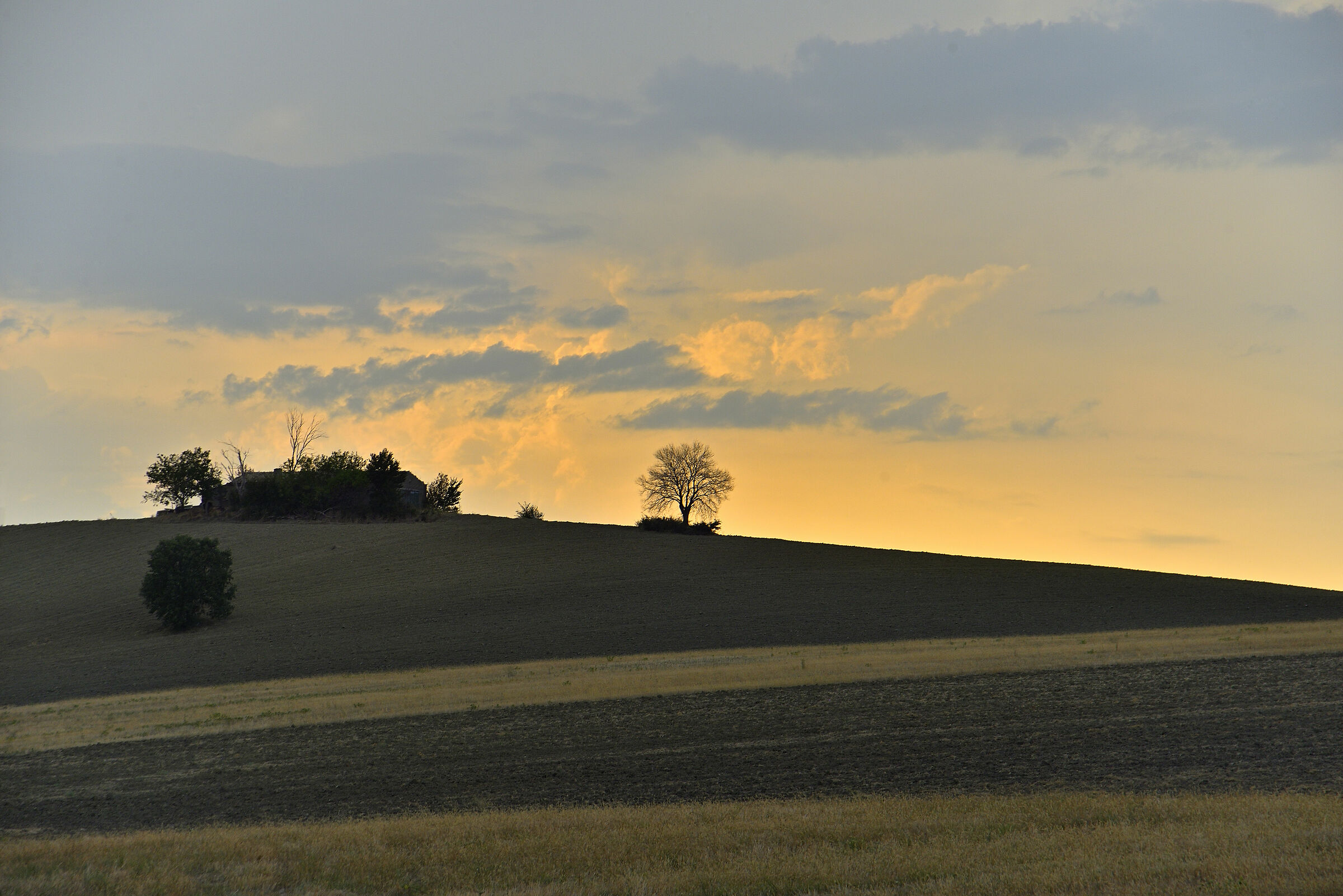 He's seen some sunsets...