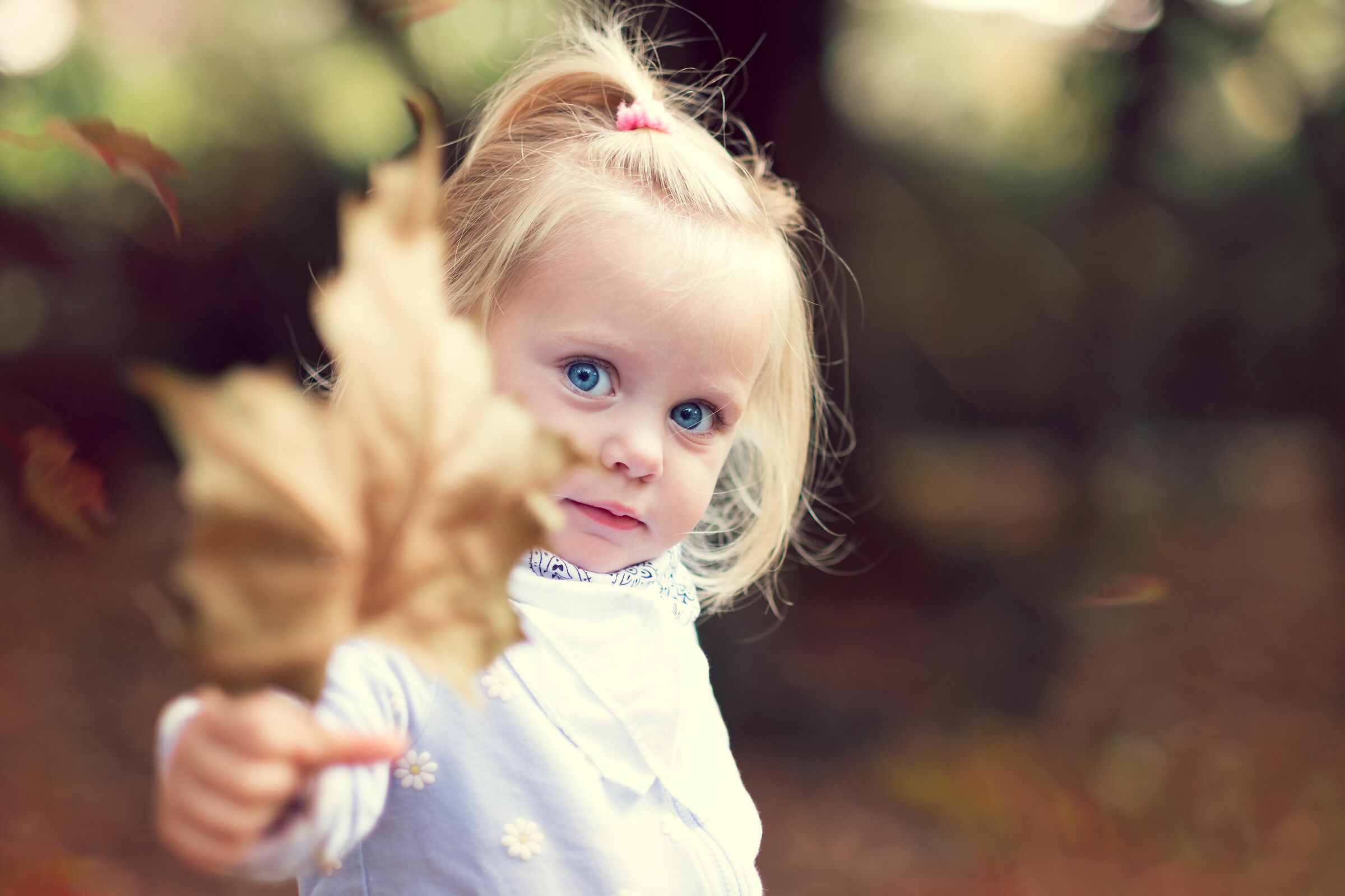 I colori dell'autunno