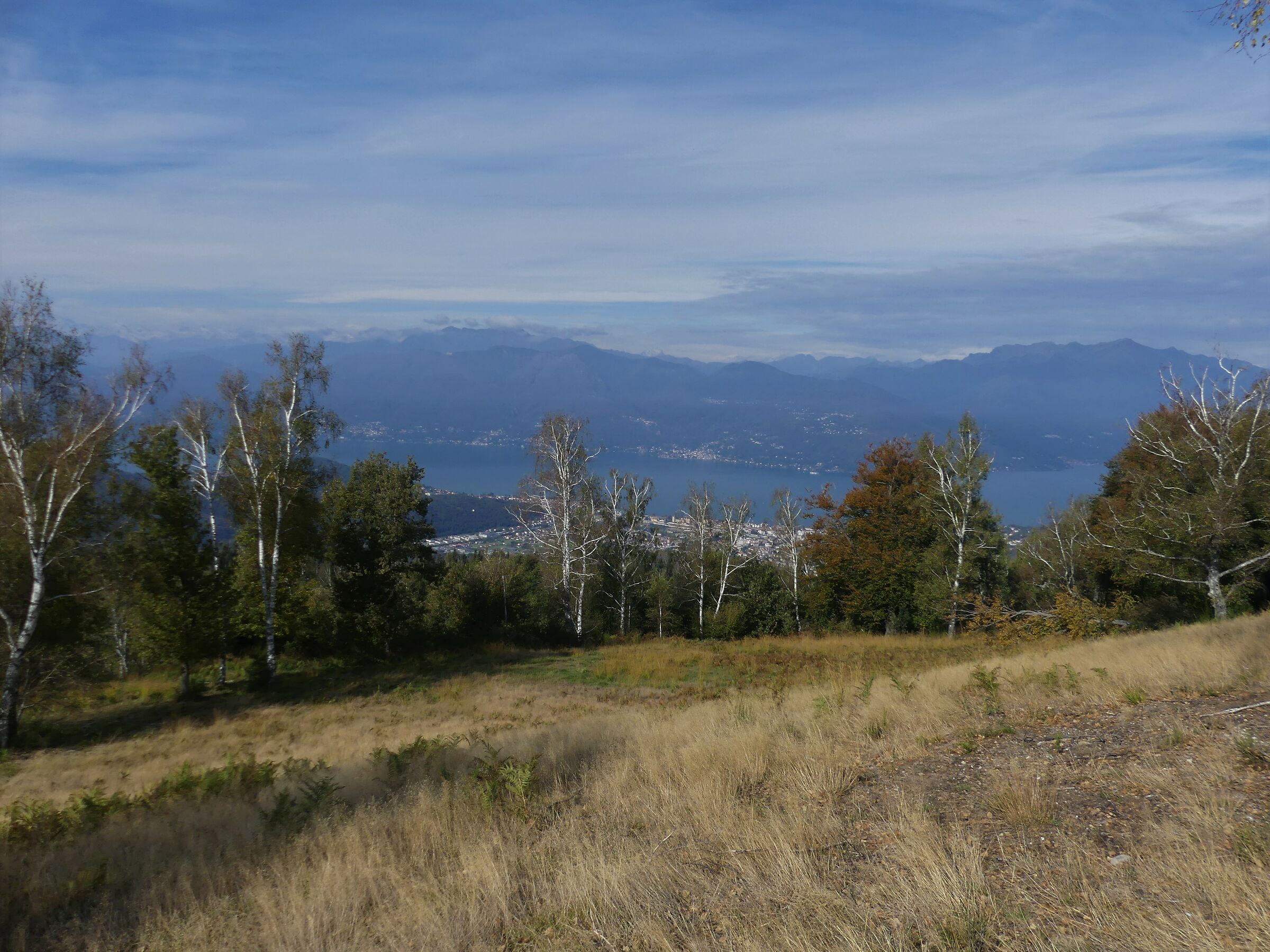 Mount Seven Terms