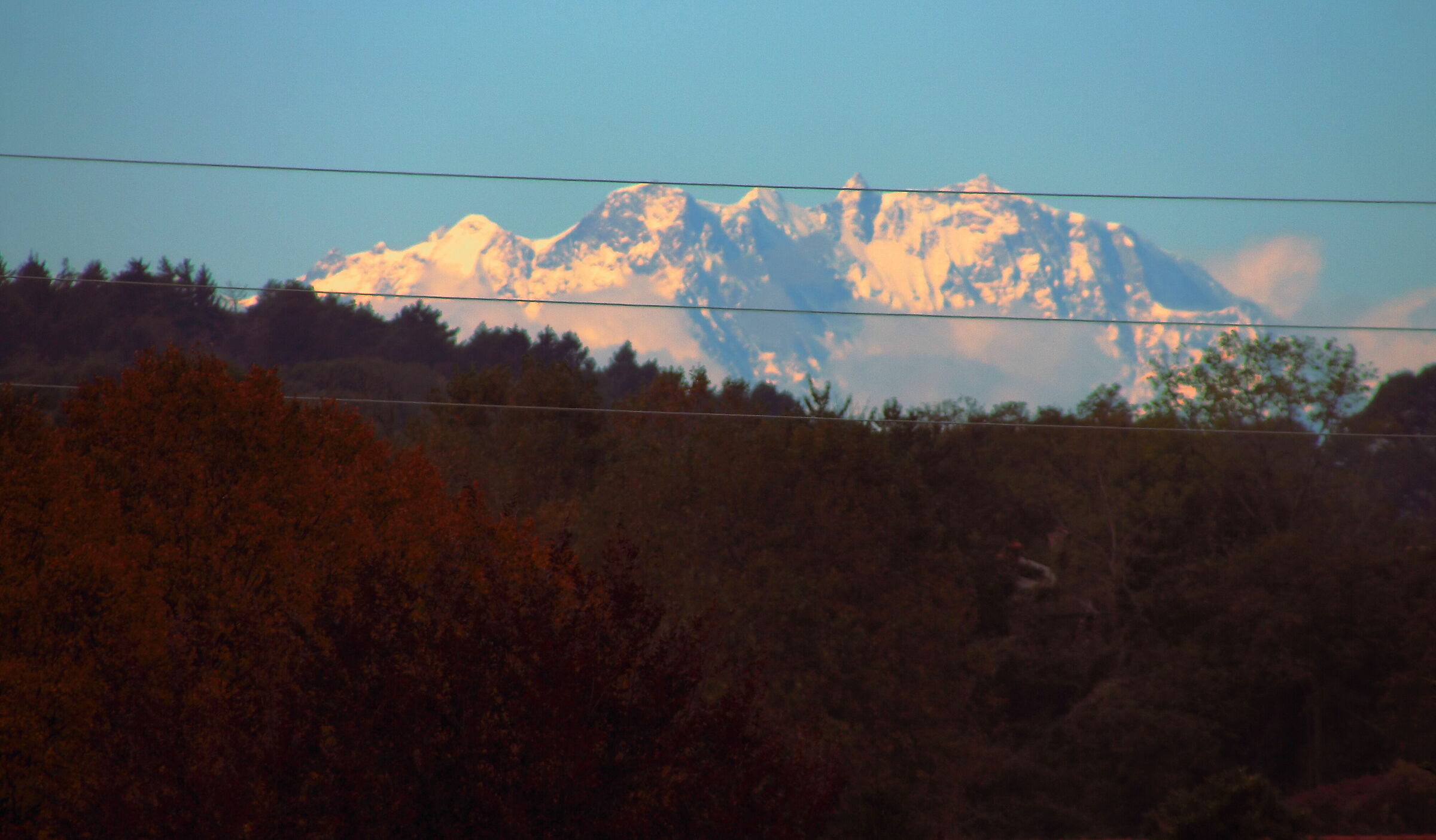 from my window - day