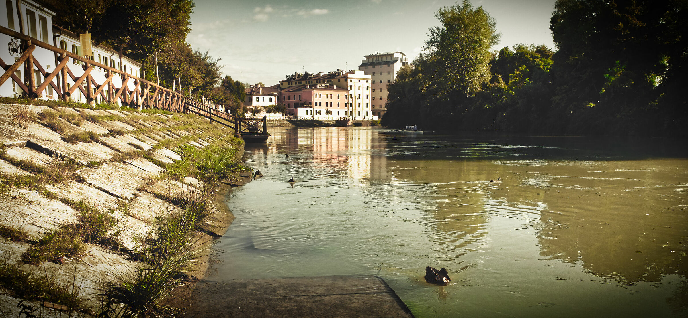 The Sile in Treviso