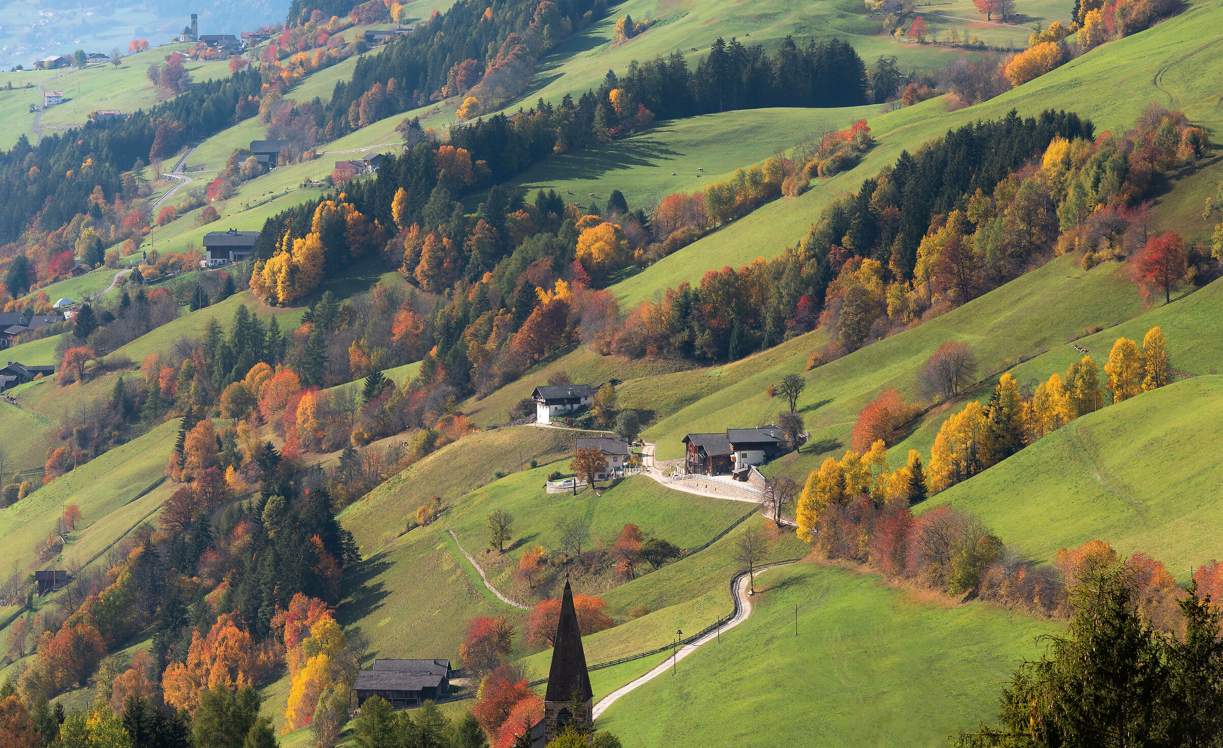 l'autunno in tutti i suoi colori