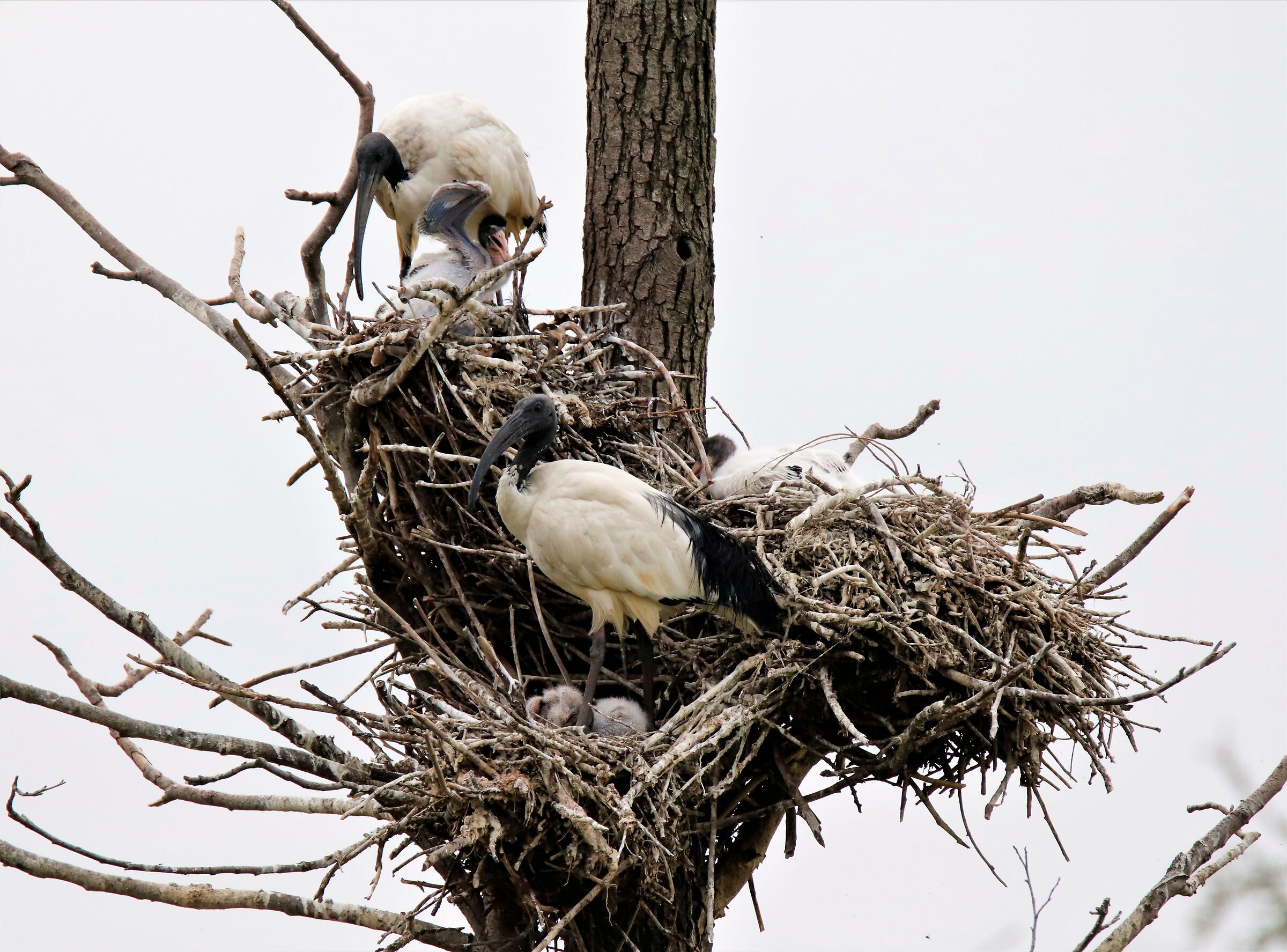 l'unione fa la forza!