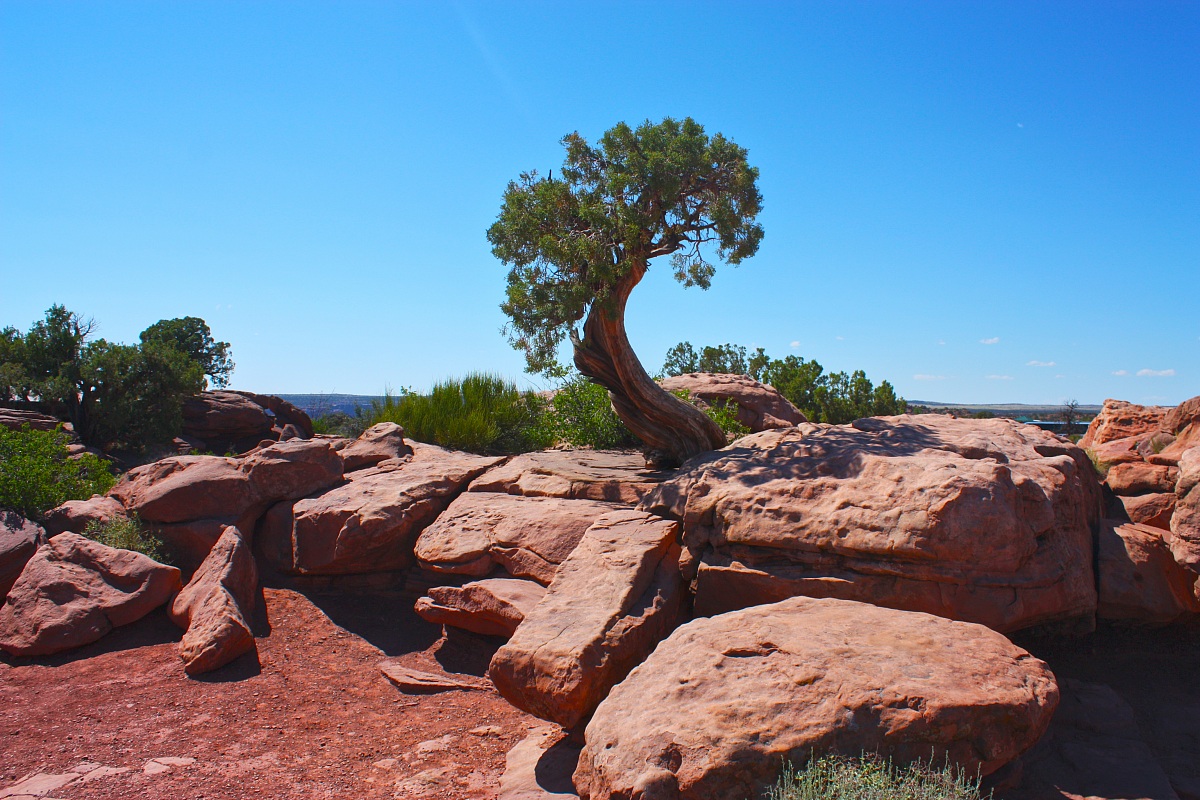 canyonlands - Utah - Stati Uniti