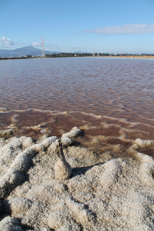Saline di Capoterra