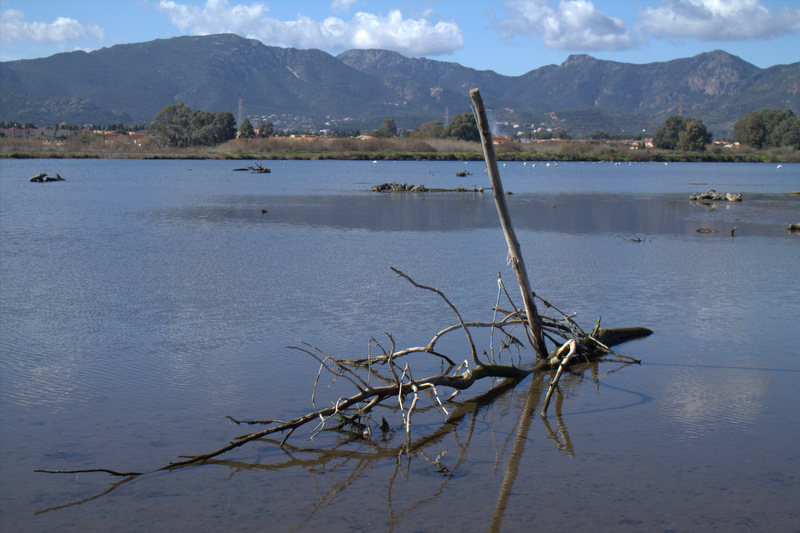 Stagno di Capoterra