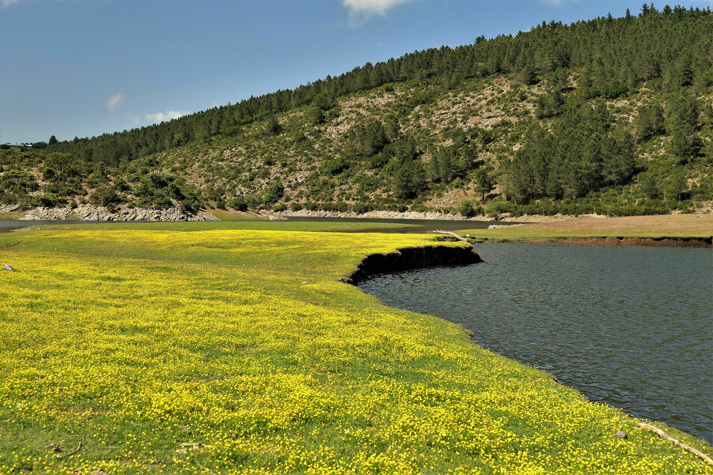 High Lake Of Flumendosa Bau Muggeris in spring