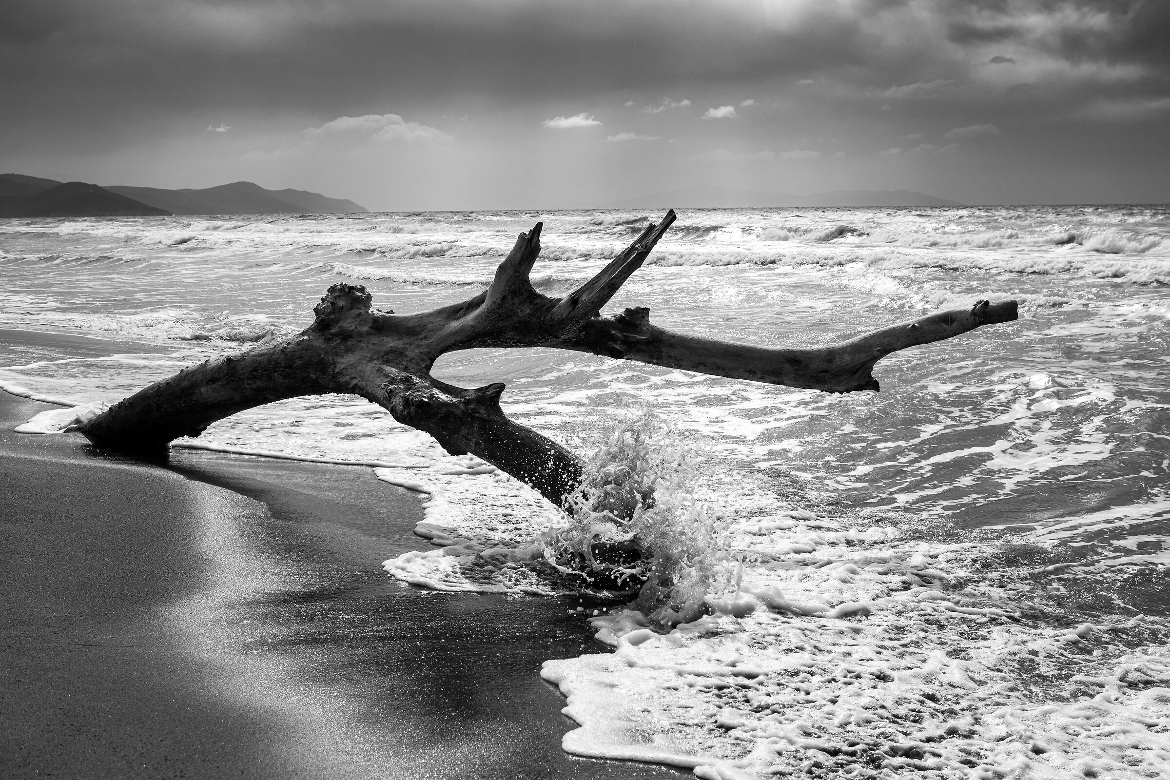 Mareggiata all'Alberese