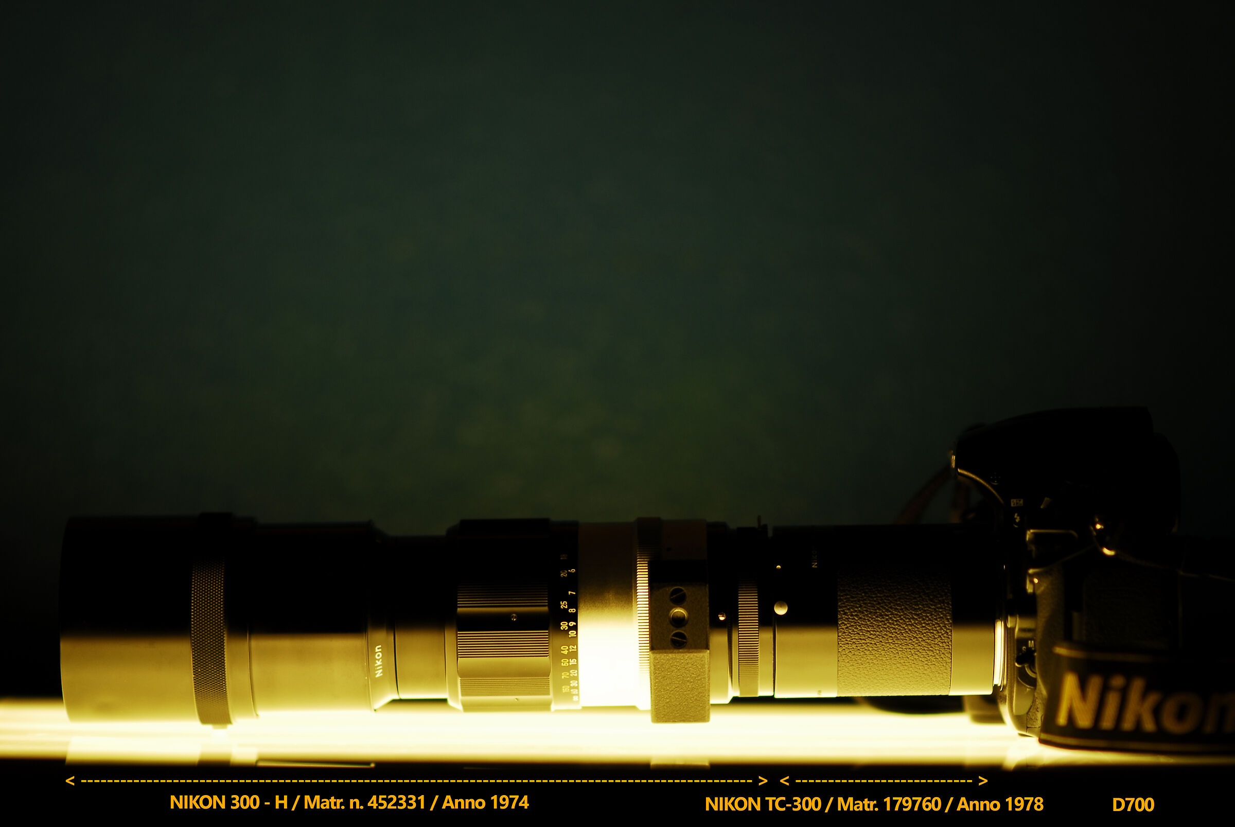 nikon 300-h e tc-300