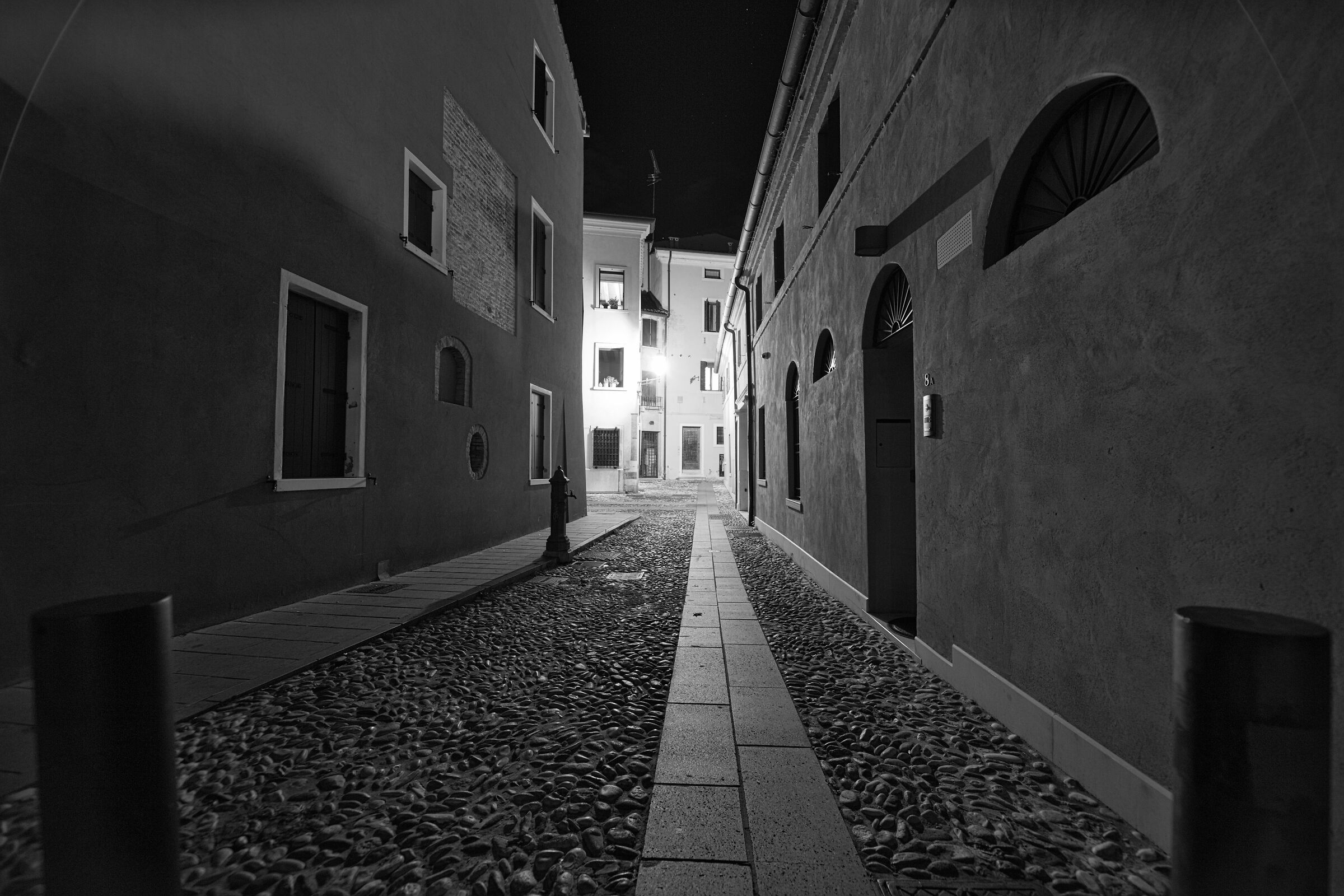 Treviso