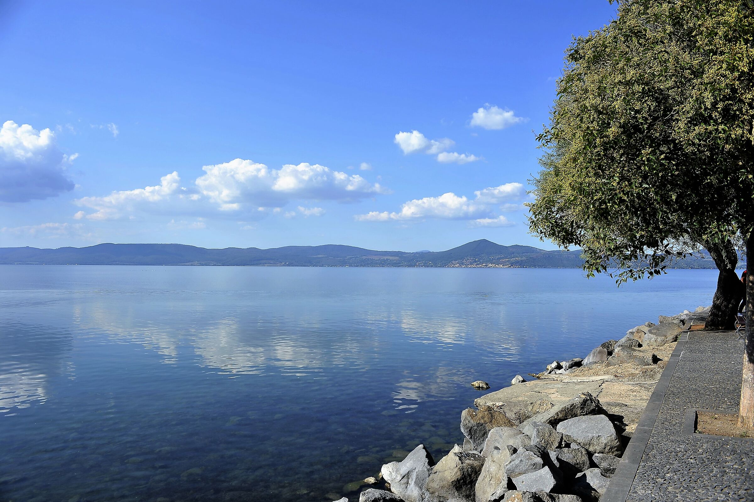 Anguillara