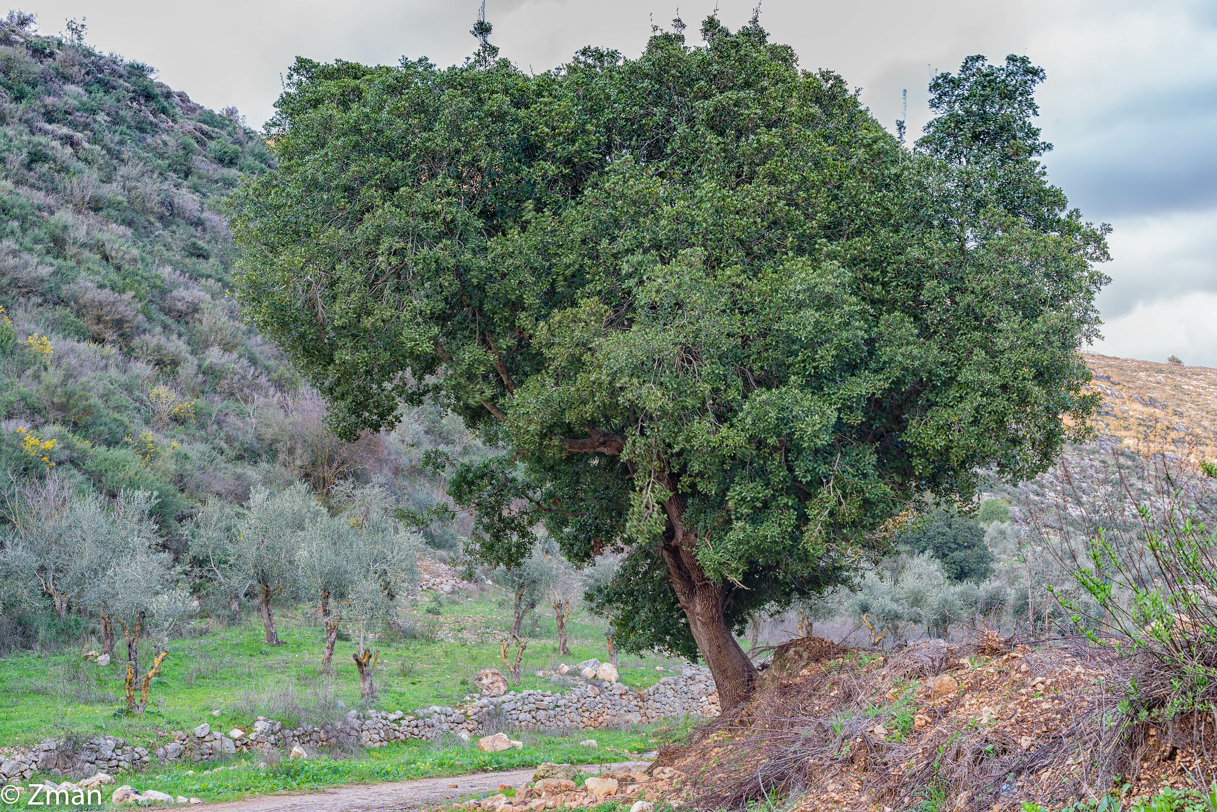 Tutto intorno al nostro posto