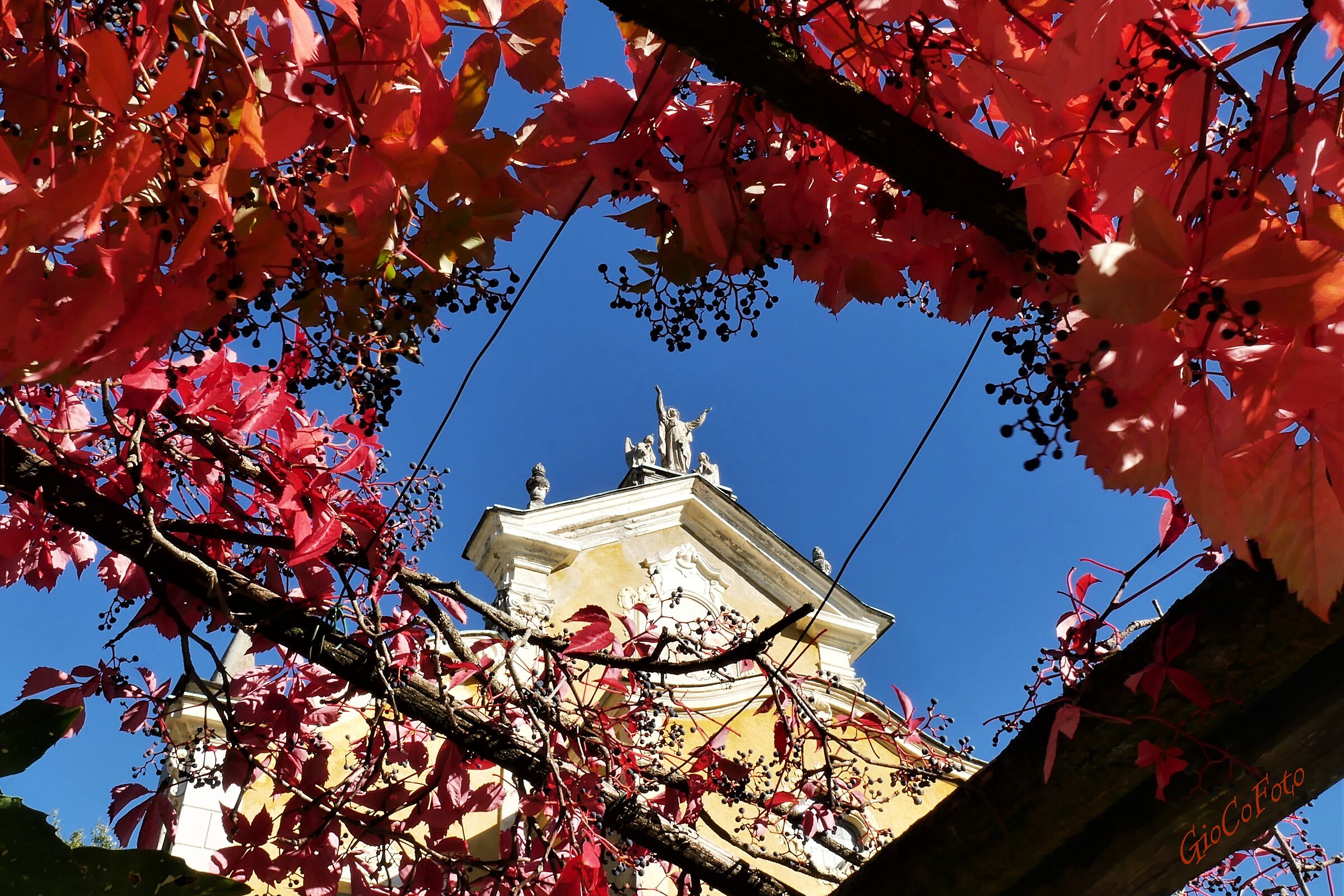 al di la della vite...o della vita?