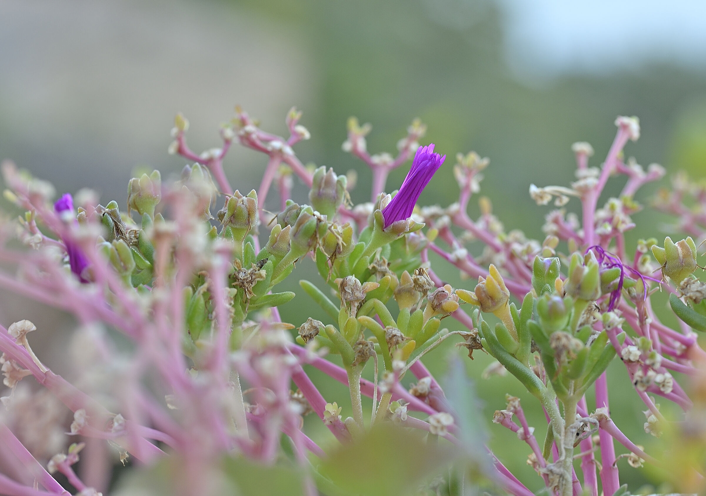 Opening up to the future