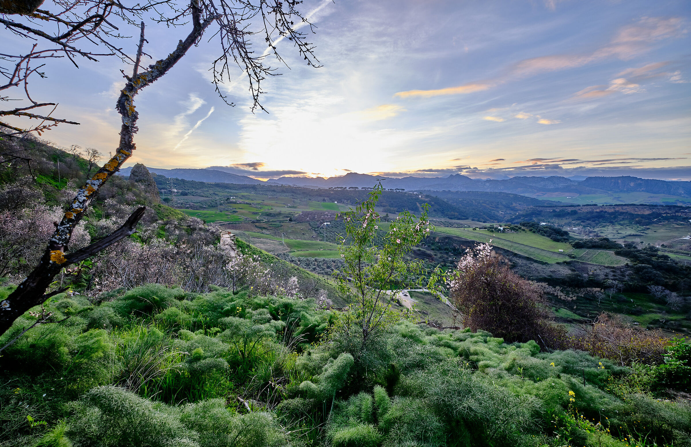 Puesta de sol en Ronda