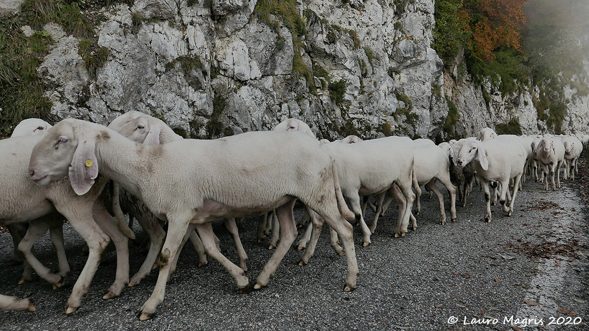 Silenzioso passaggio