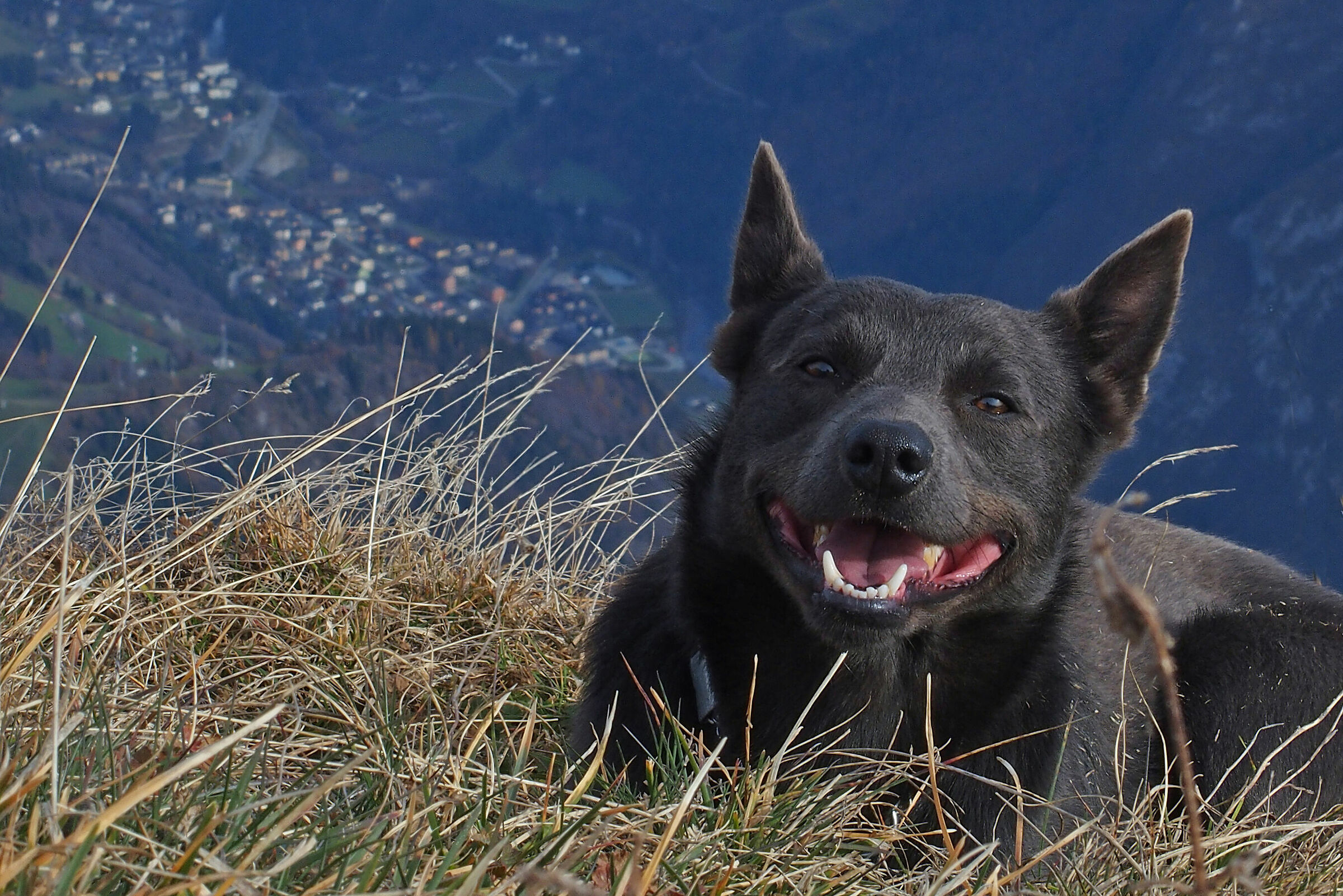 Smile in the mountains...