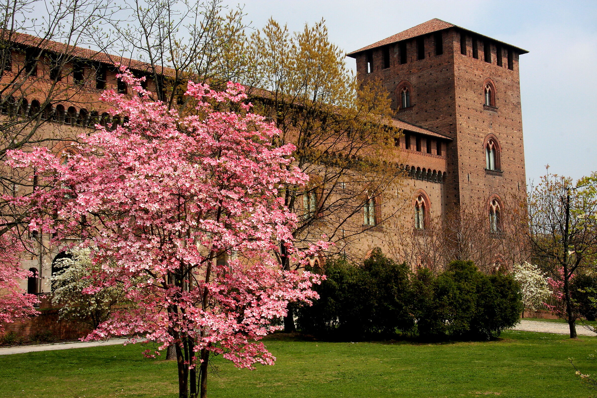 Castello Visconteo (Pavia)
