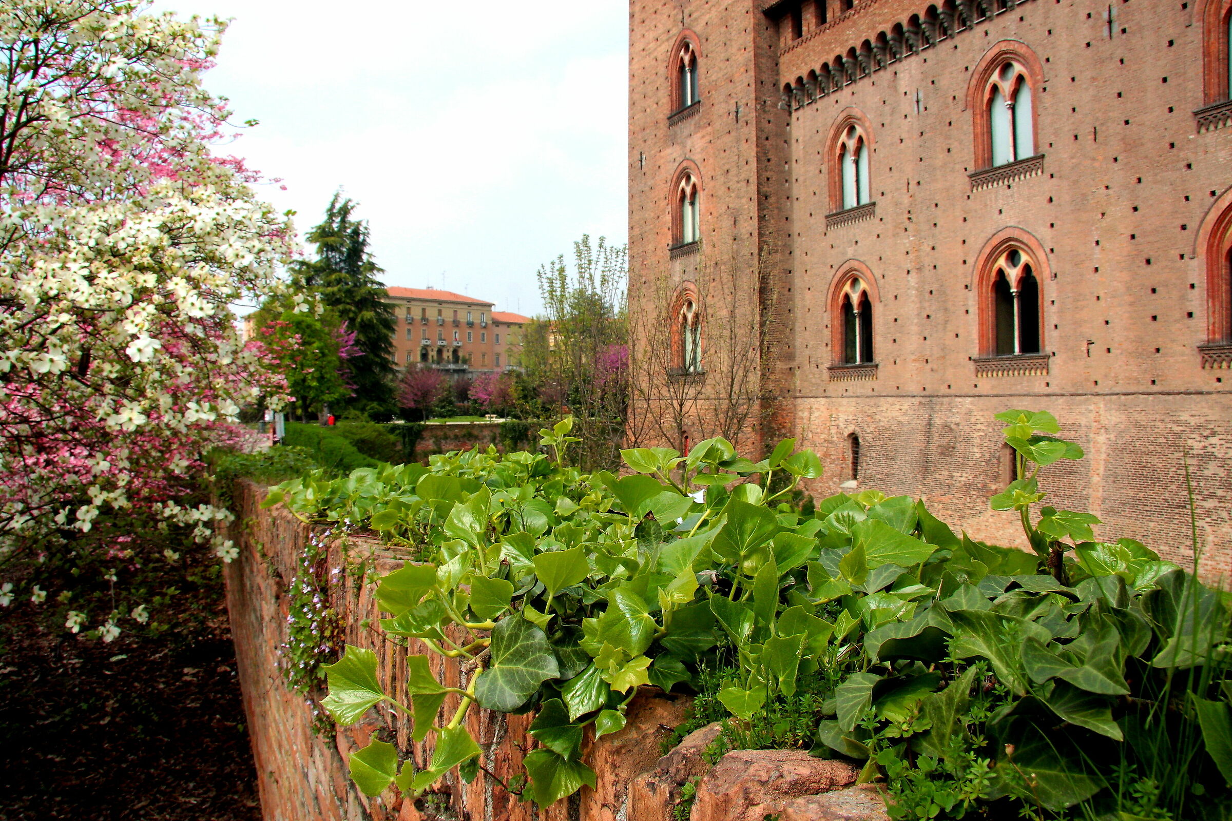 Castello Visconteo (Pavia)