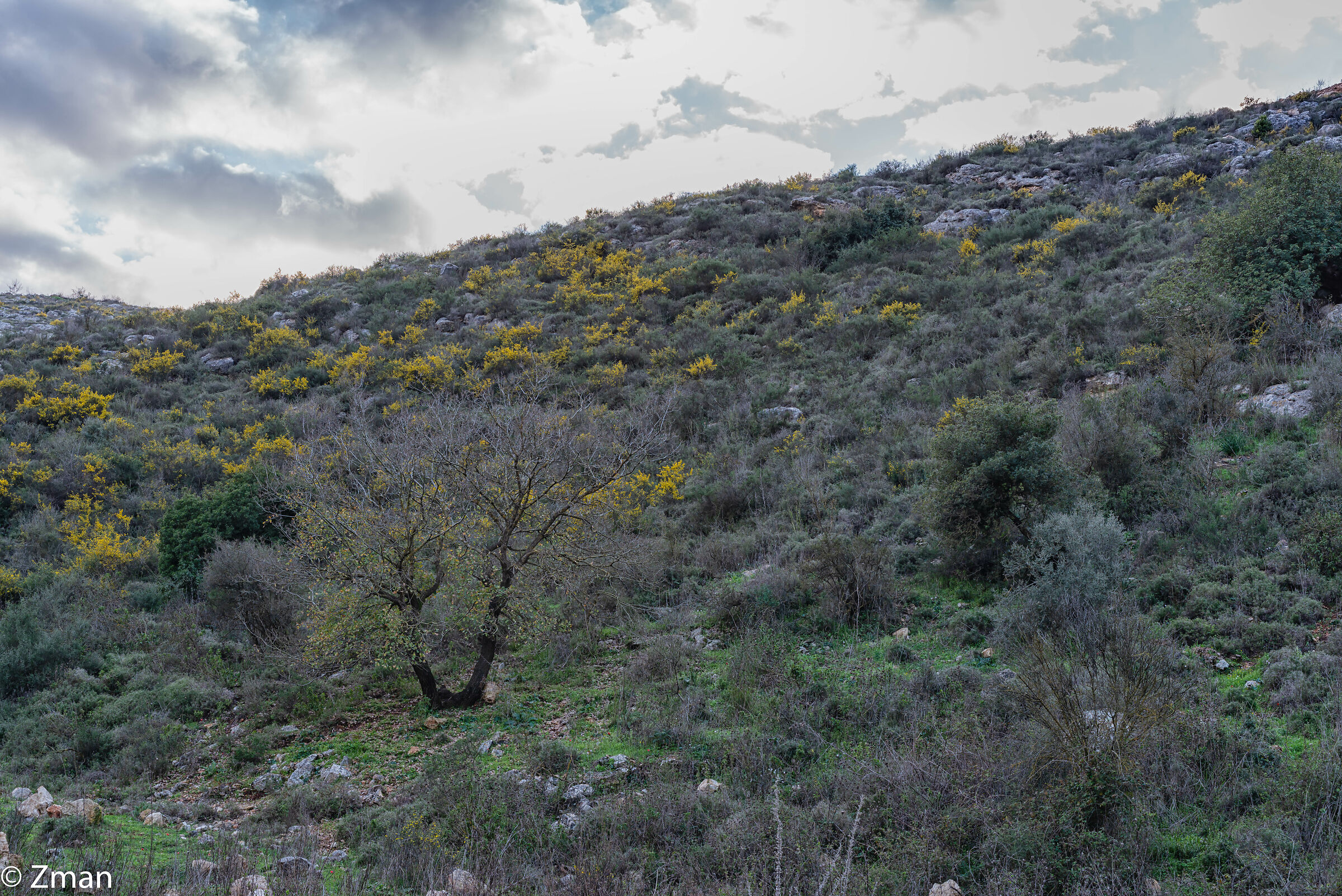 Tutto intorno al nostro posto