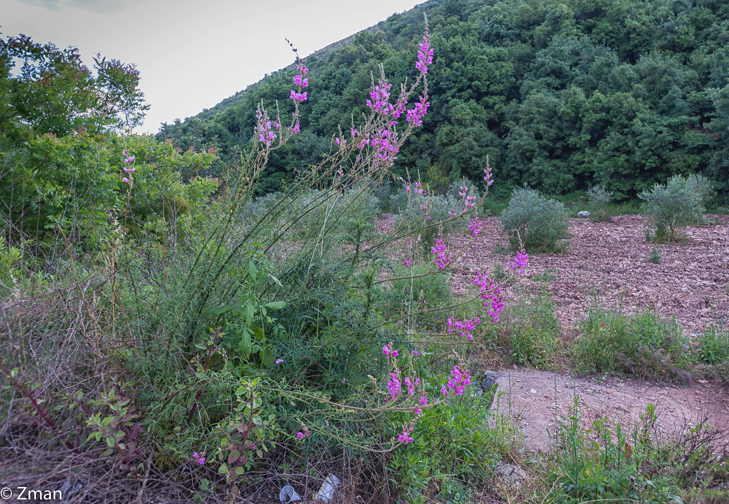 Tutto intorno al nostro posto
