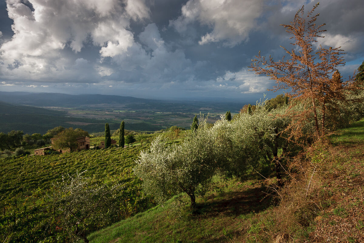 Under the sky of Montalcino ...