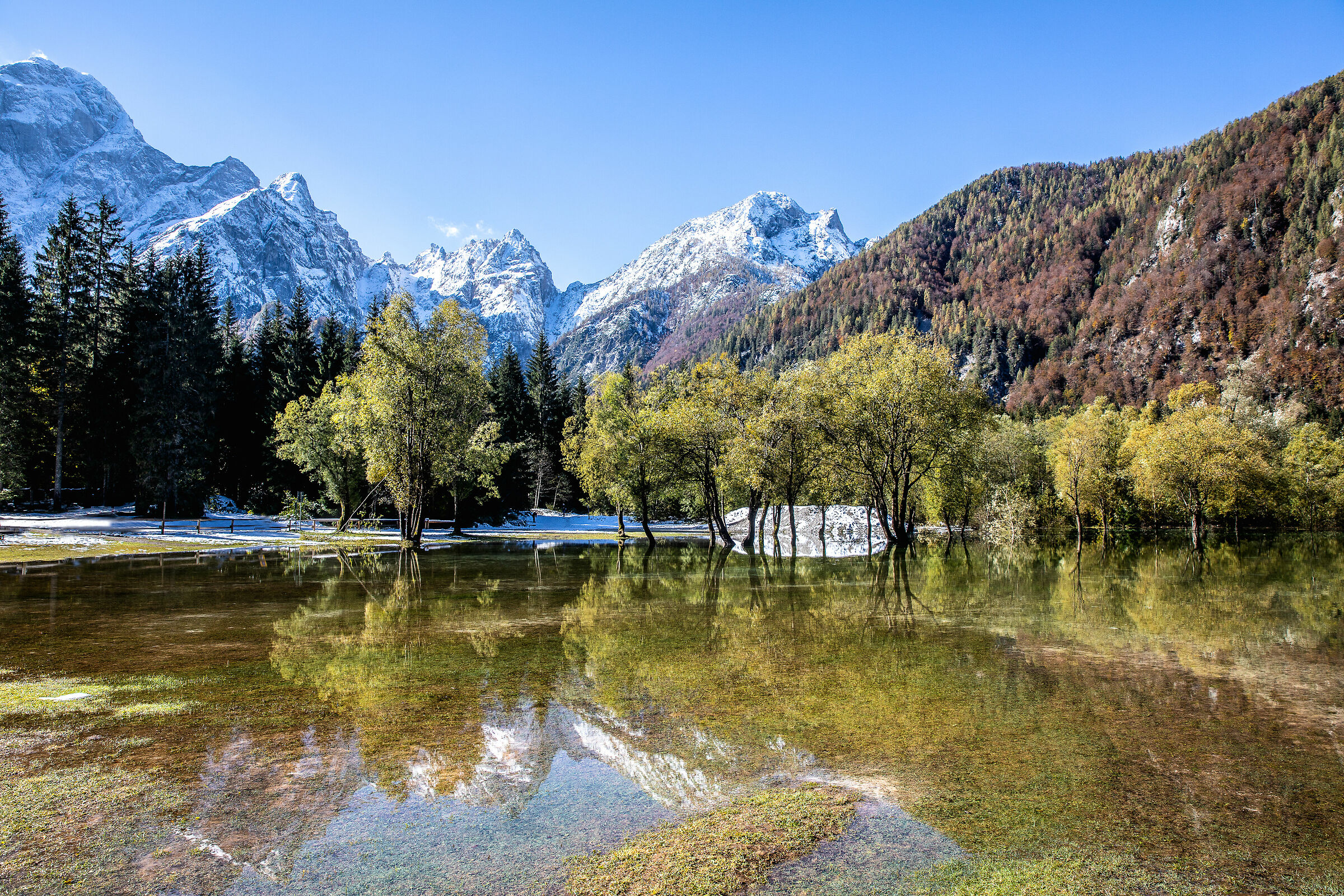 Nella terra del cuore 1