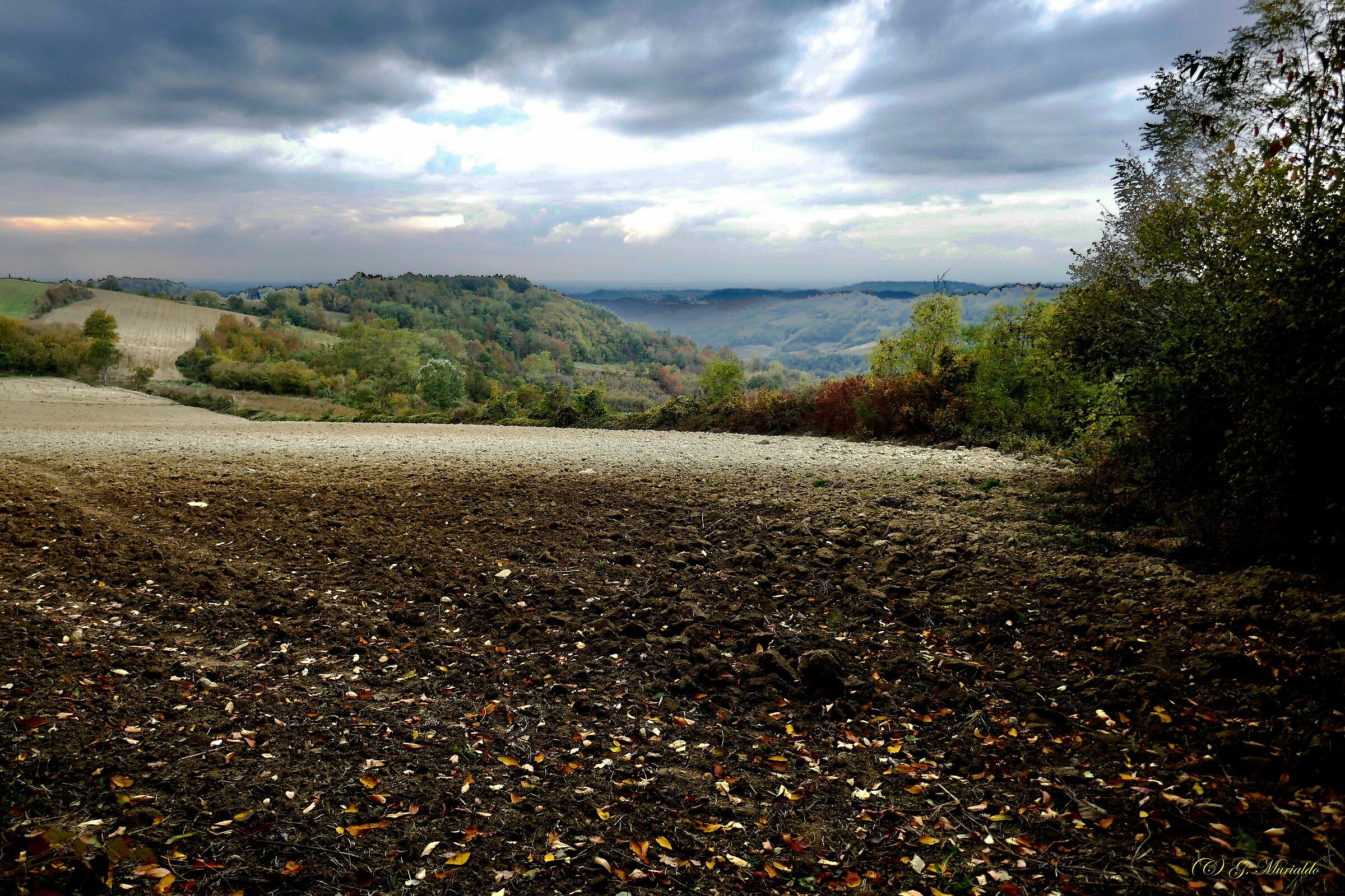 Ottobre a Serravalle Langhe (14.10.20)