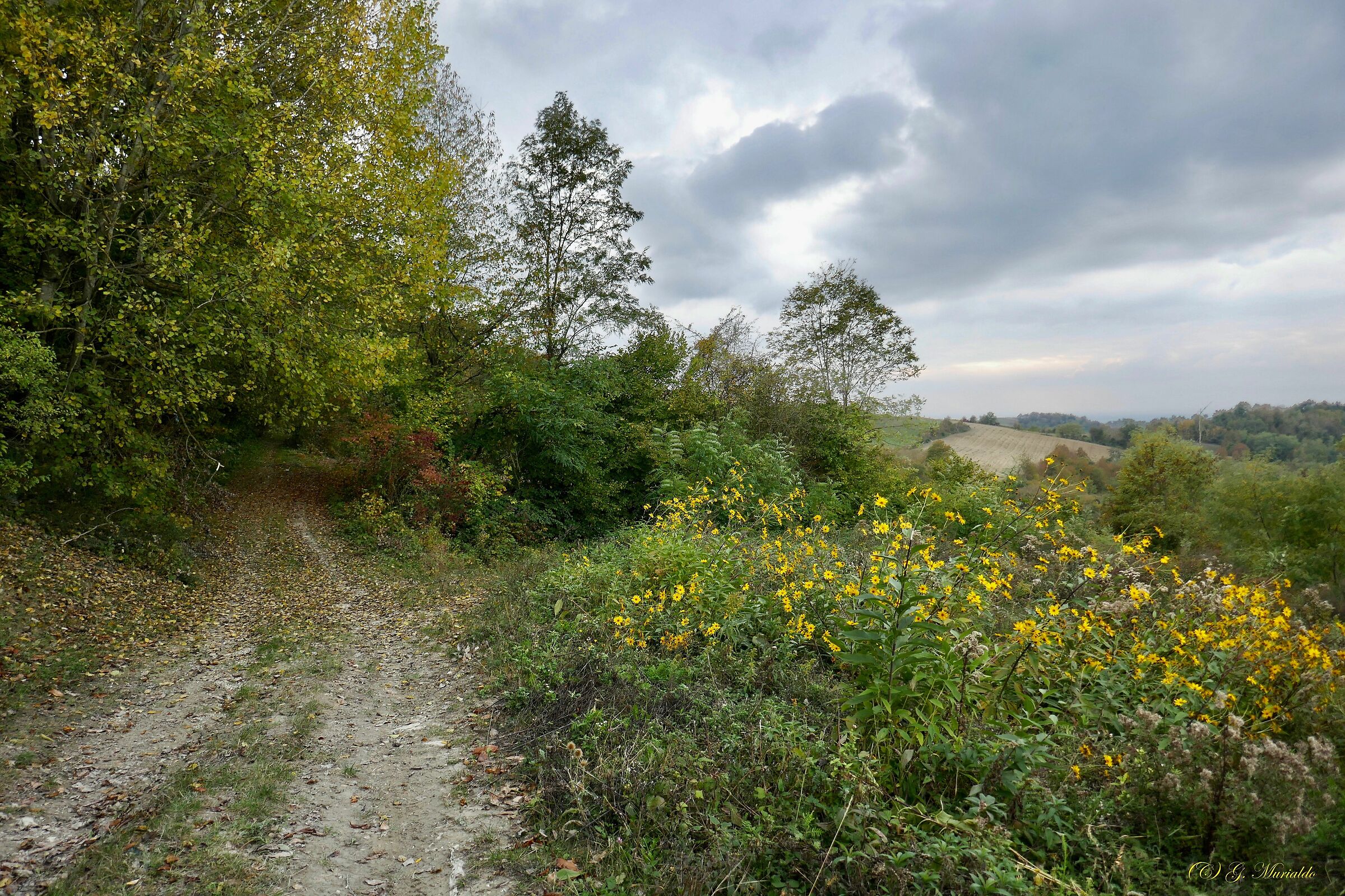 Il sole che nessuno vede (14.10.20)