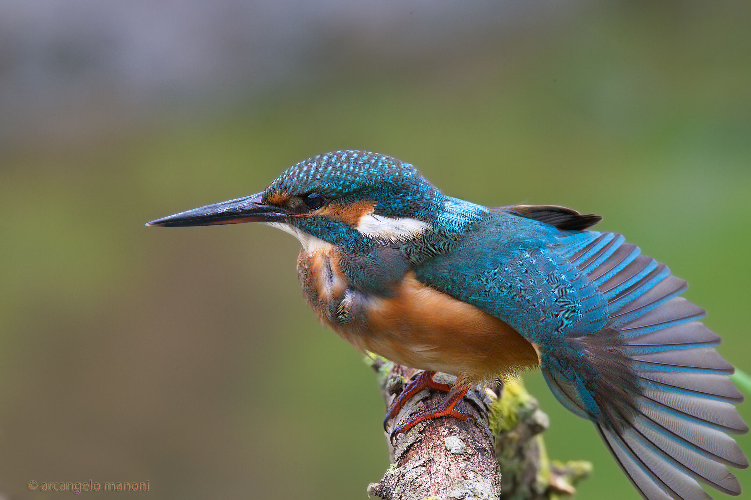 Come on! Show us your pens!