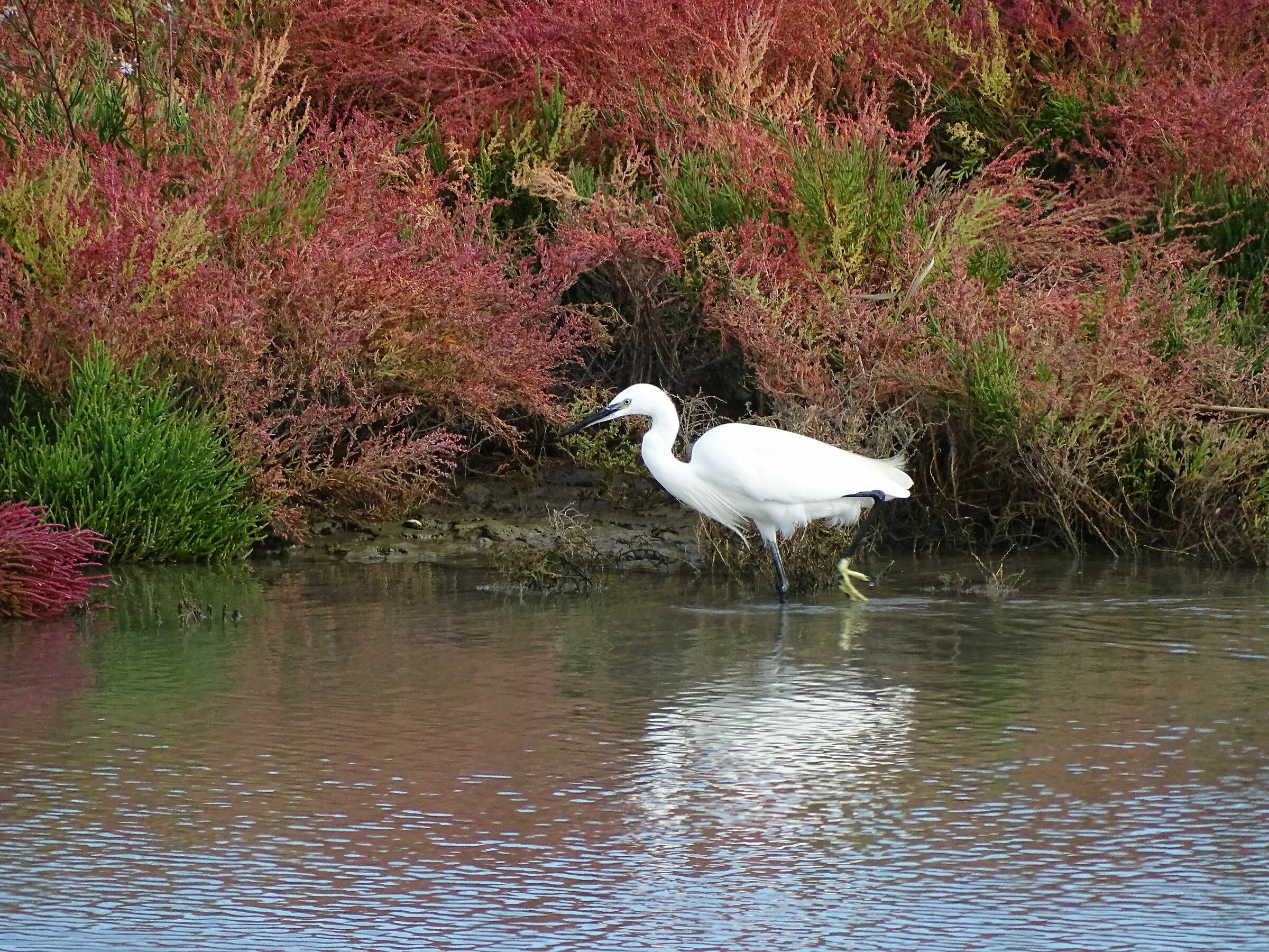 Immerso nei colori d'autunno