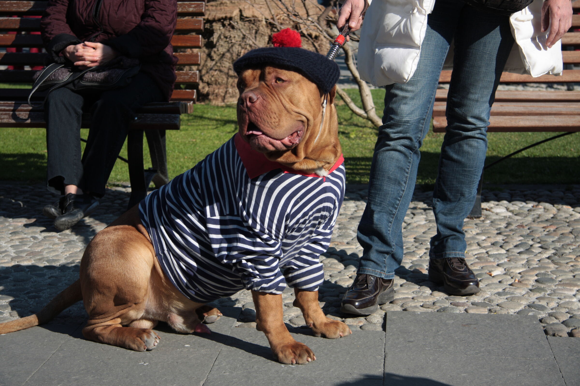 Festa di primavera( Santa Margherita)