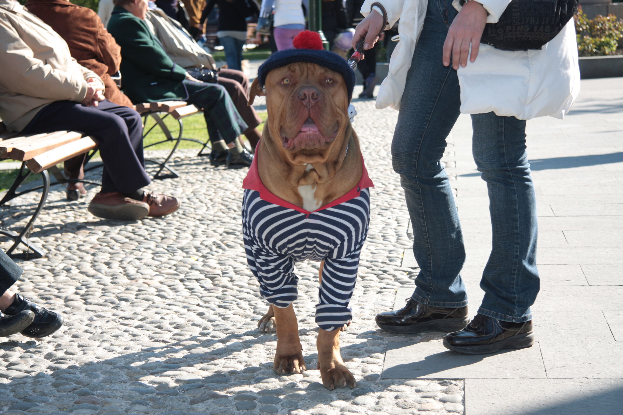 Festa di primavera (santa Margherita)