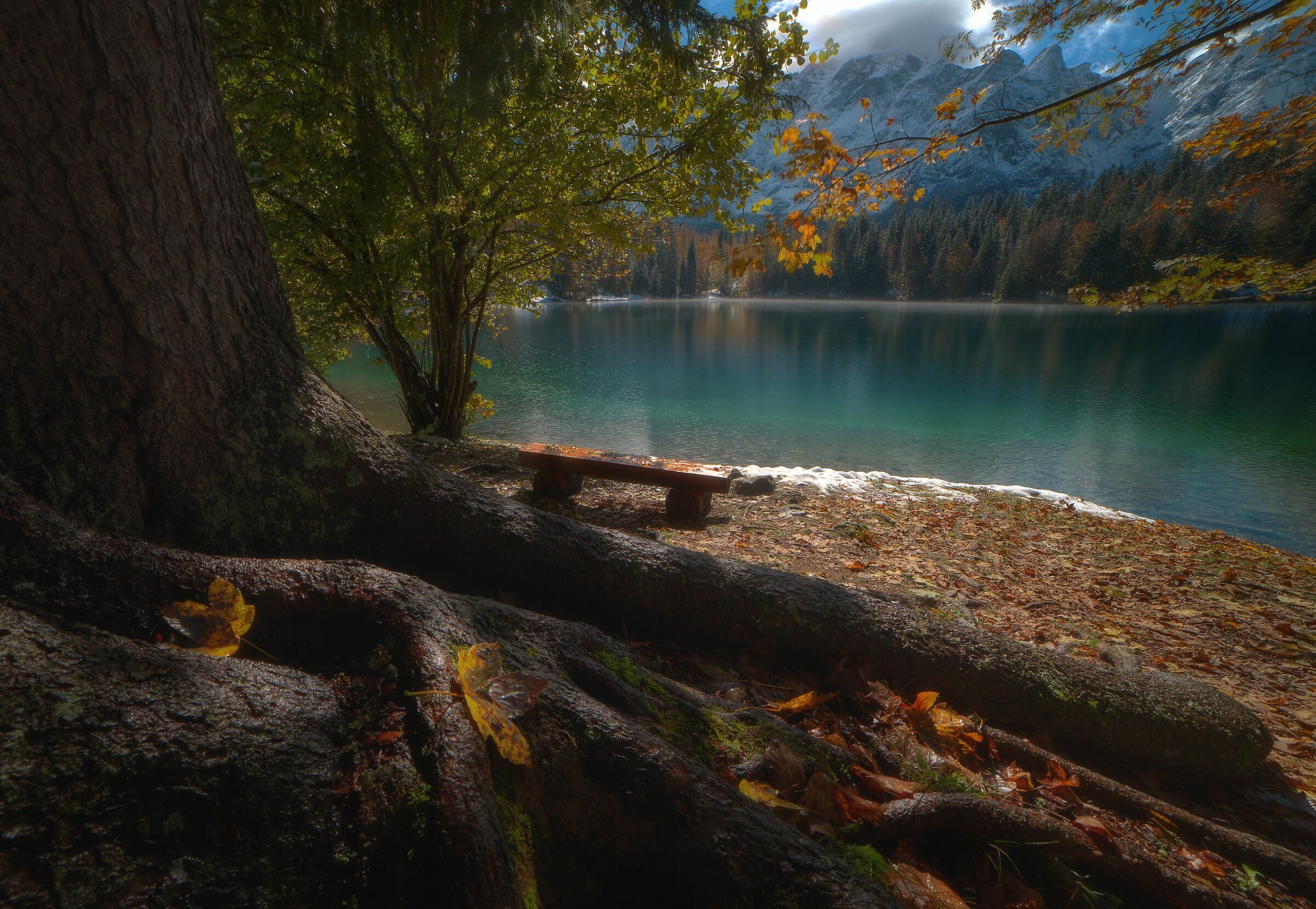 Autunno ai Laghi di Fusine
