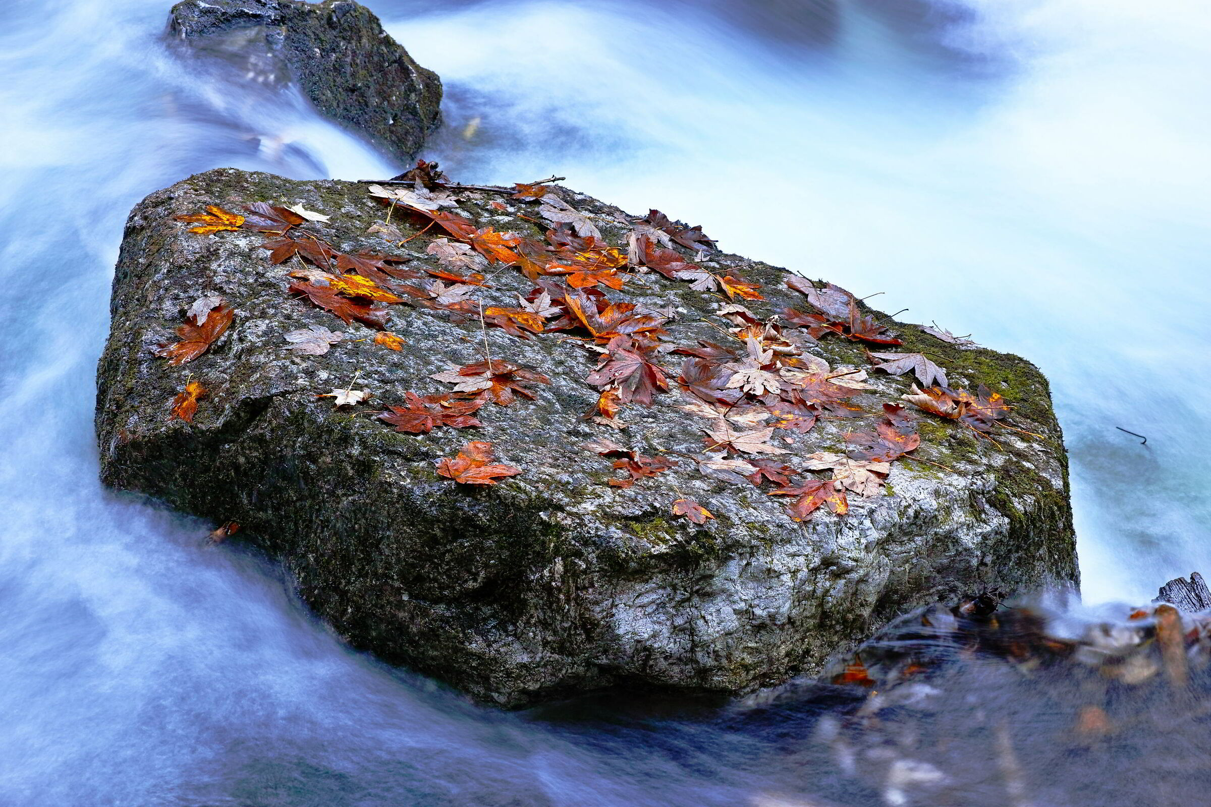 14.10.20 valle di Tovel (Tn)