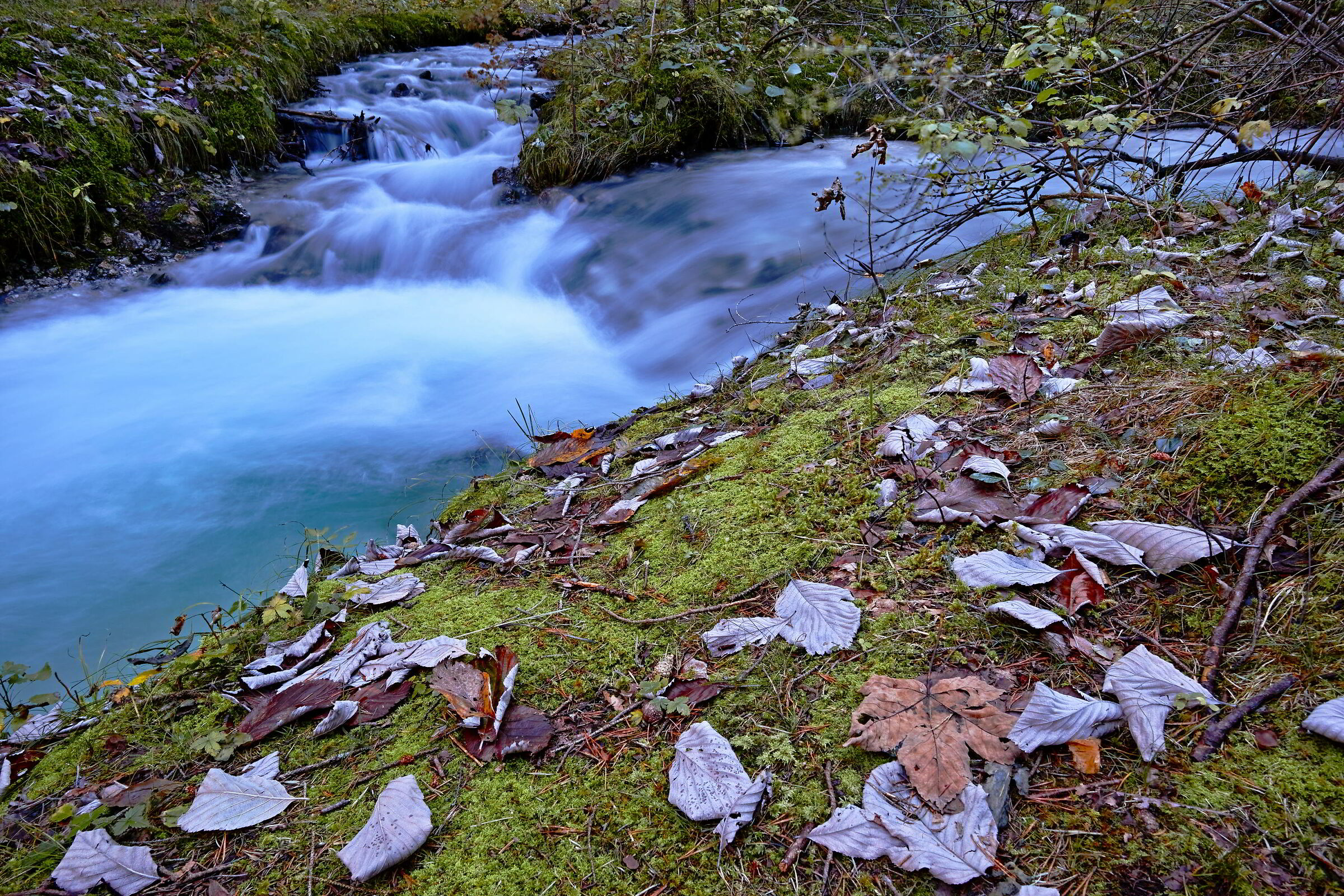 14.10.20 valle di Tovel (Tn)