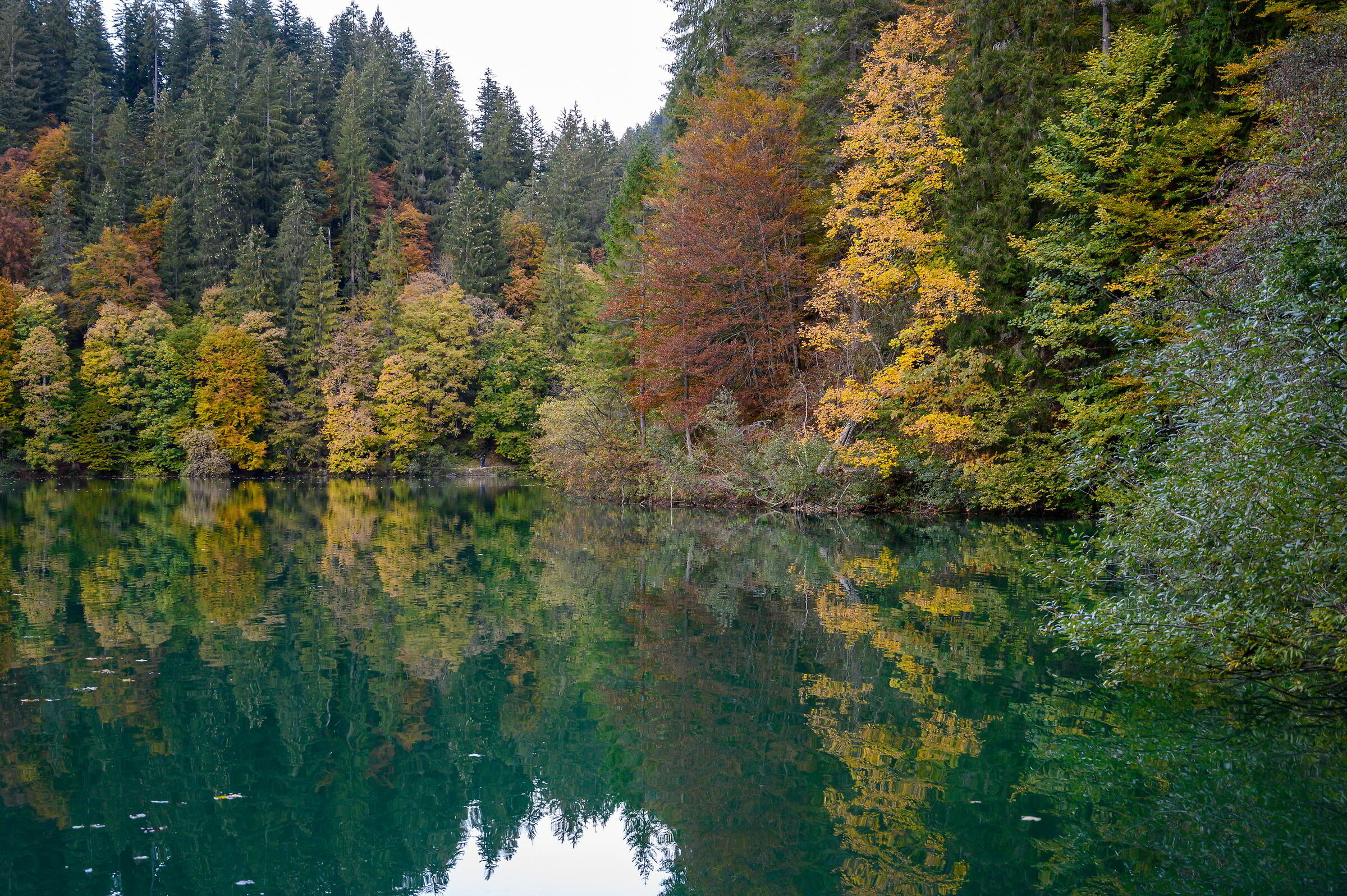 14.10.20 lago di Tovel (Tn)