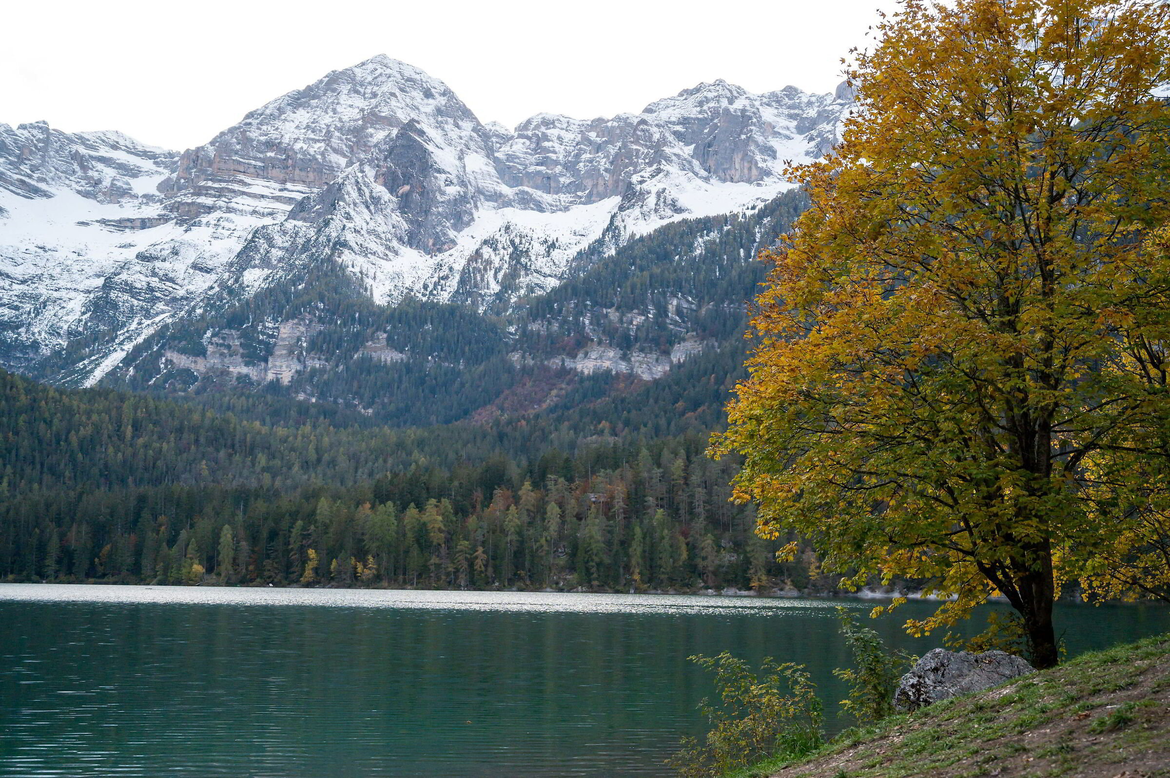 14.10.20 lago di Tovel (Tn)