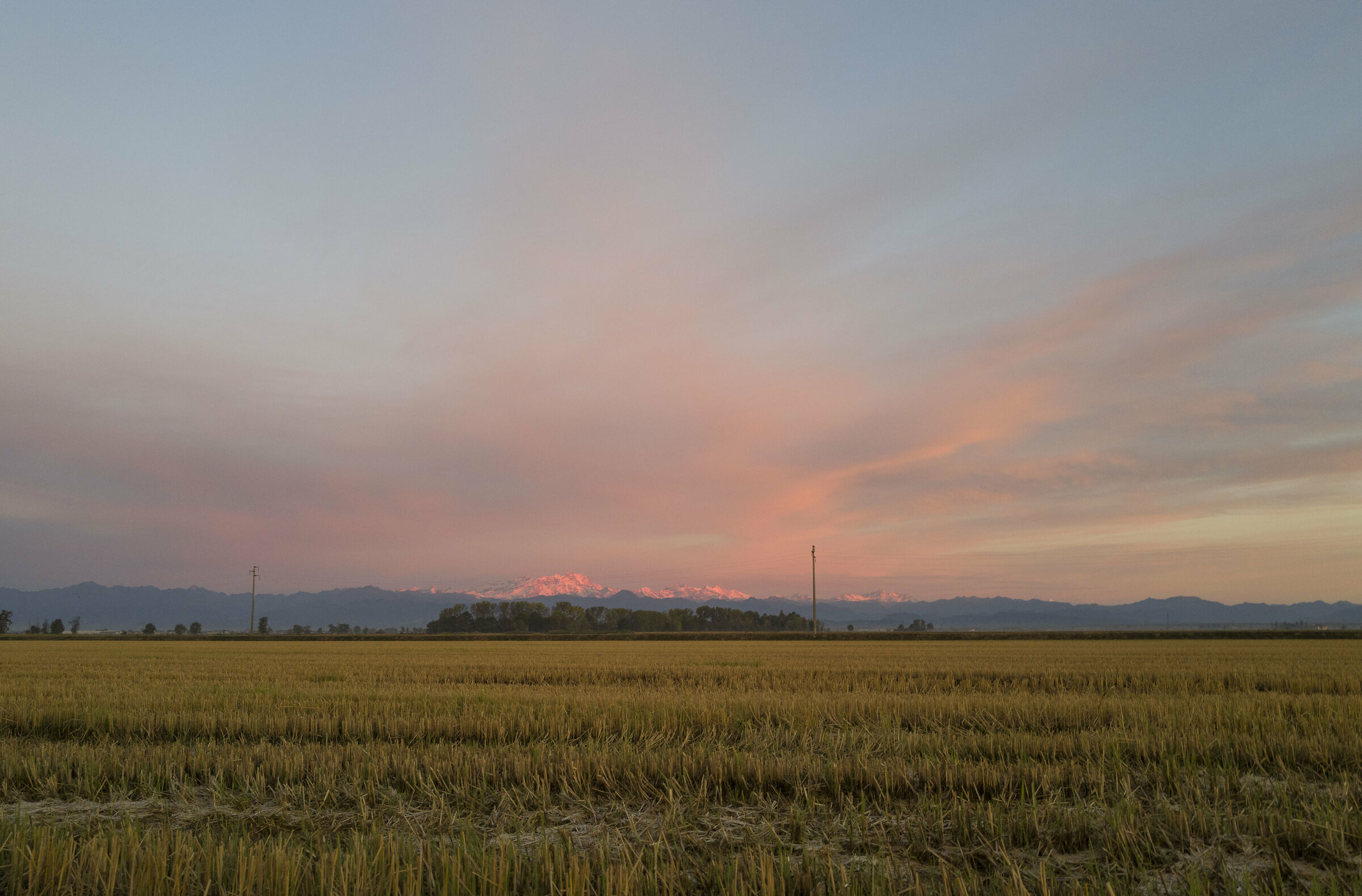 Monte Rosa at dawn