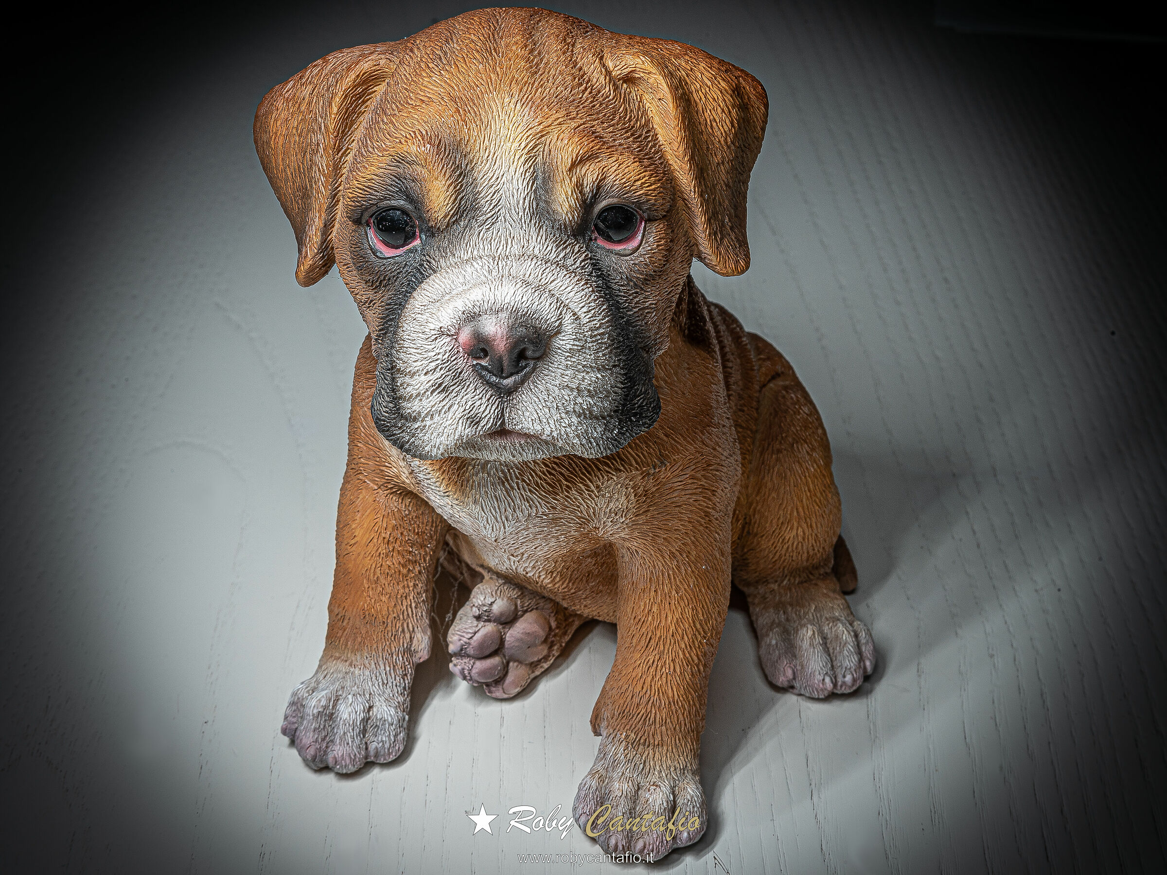I love dogs