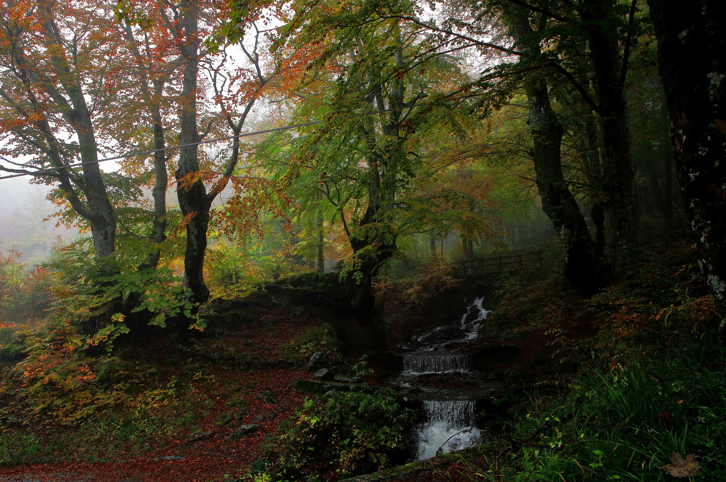 Autumn in the Apennines