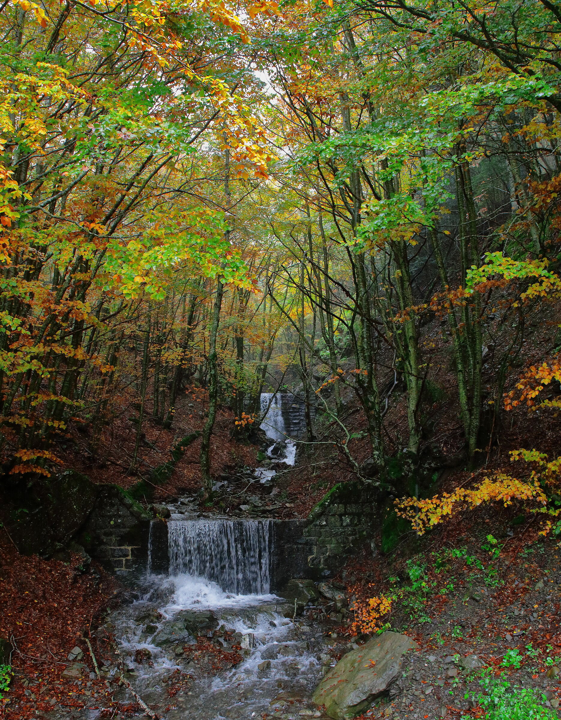 Autunno in appennino