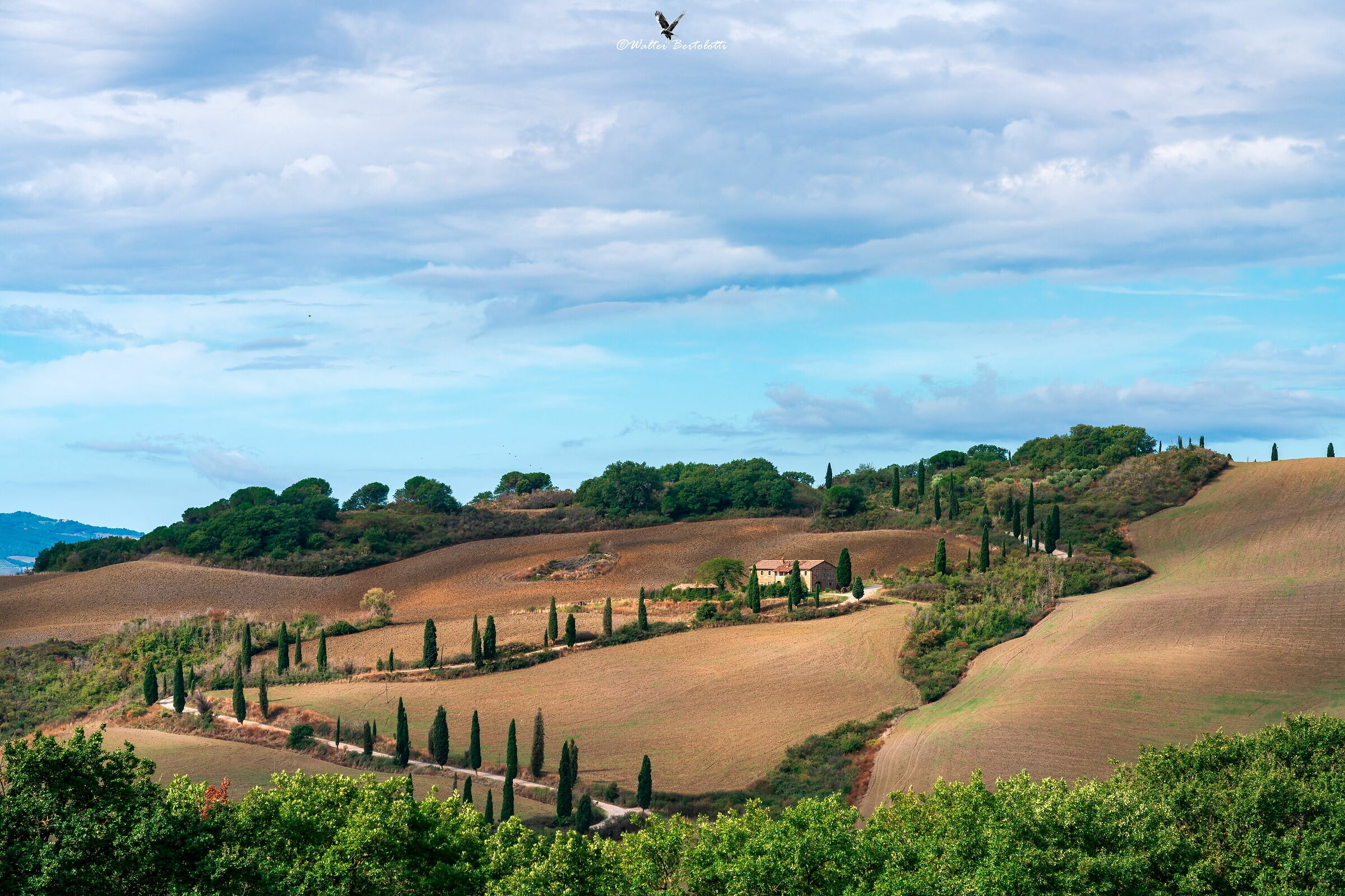 classiche cartoline di viaggio