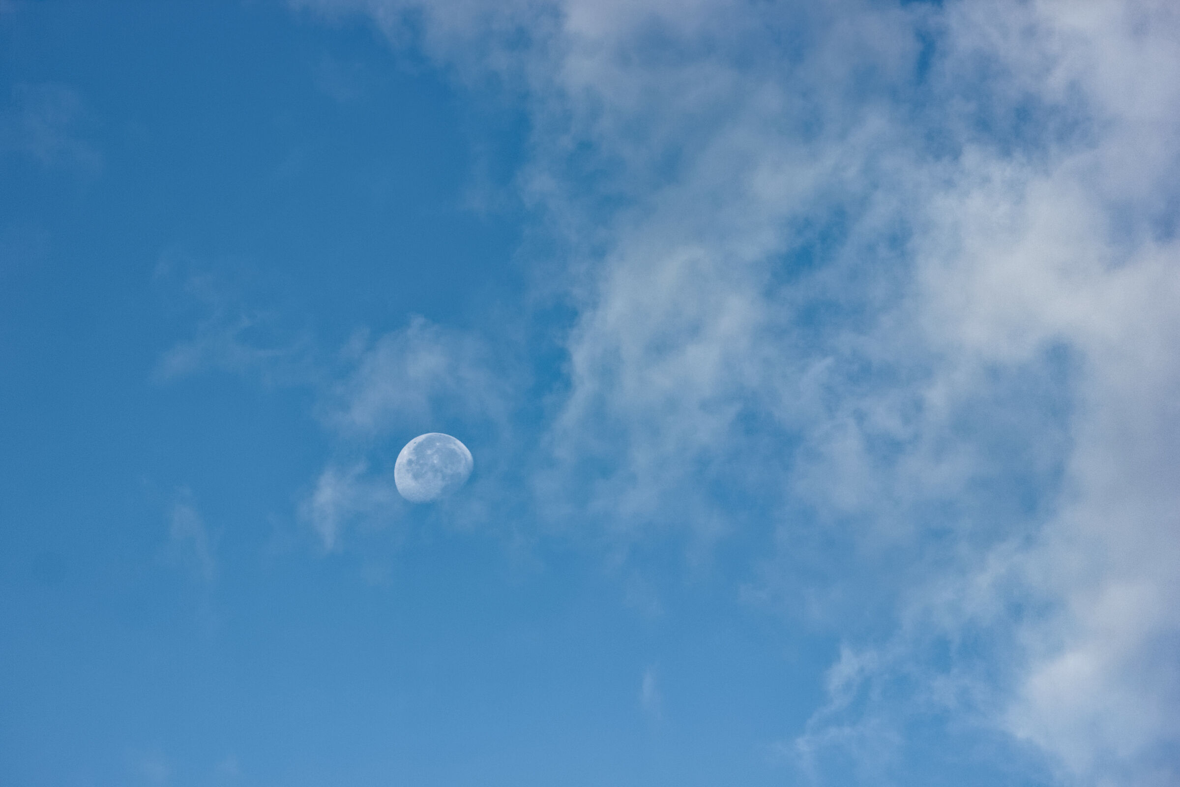 Se la Luna decide di non tramontare...