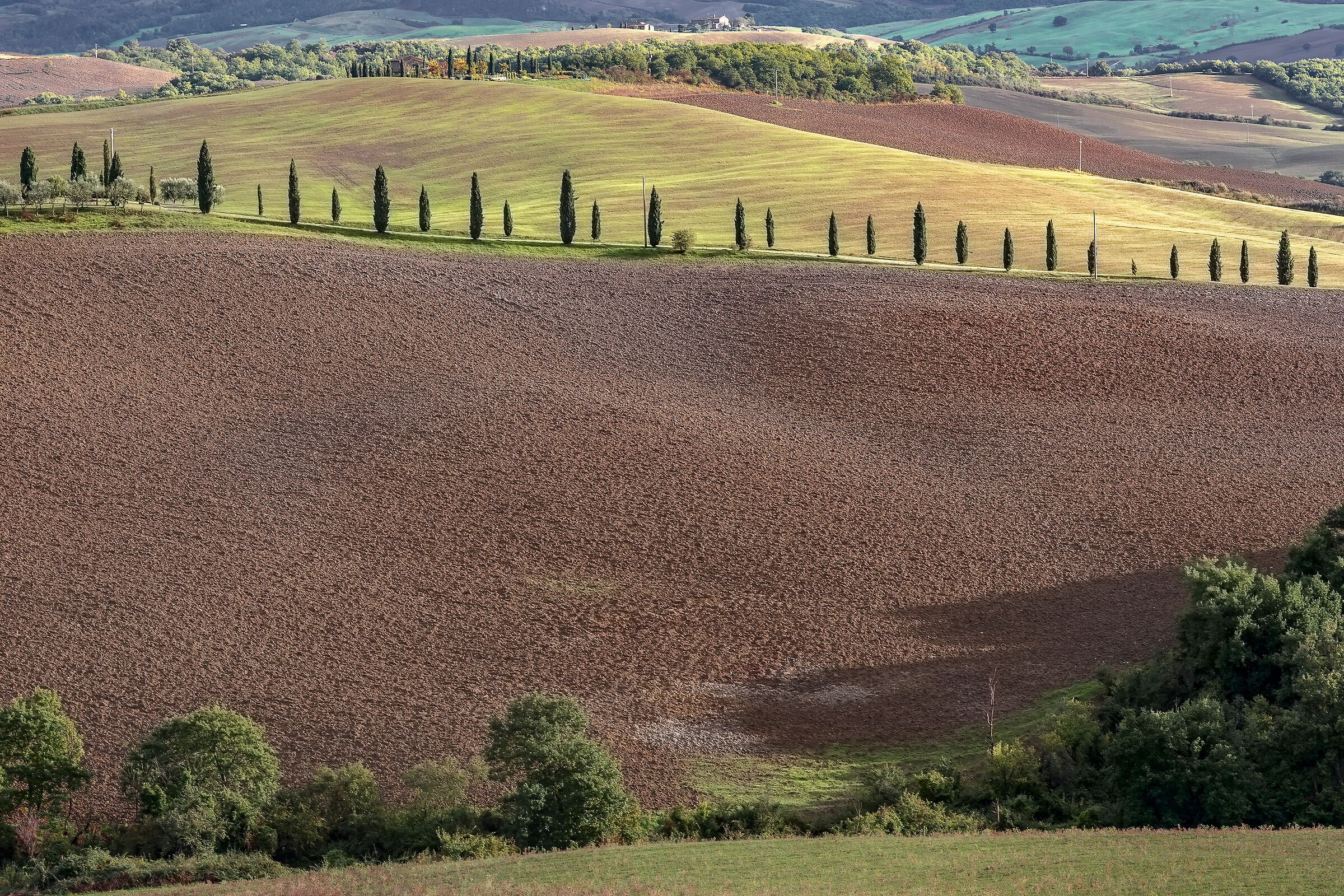 alta val d'orcia sotto radicofani(si)