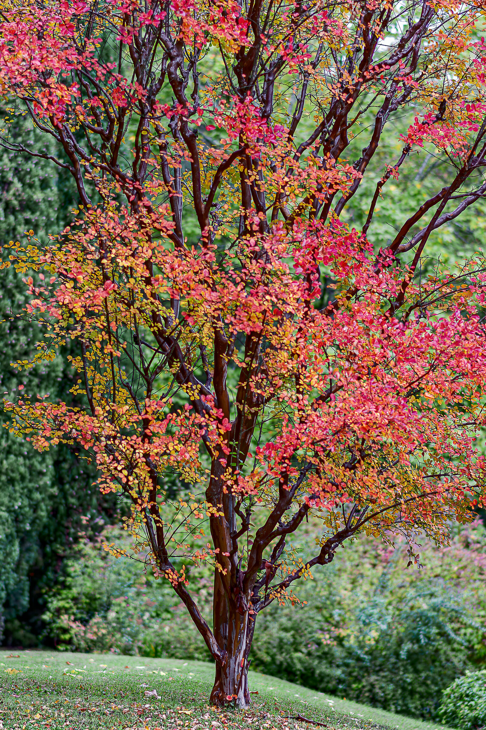 autunno 2020 sotto la pioggia